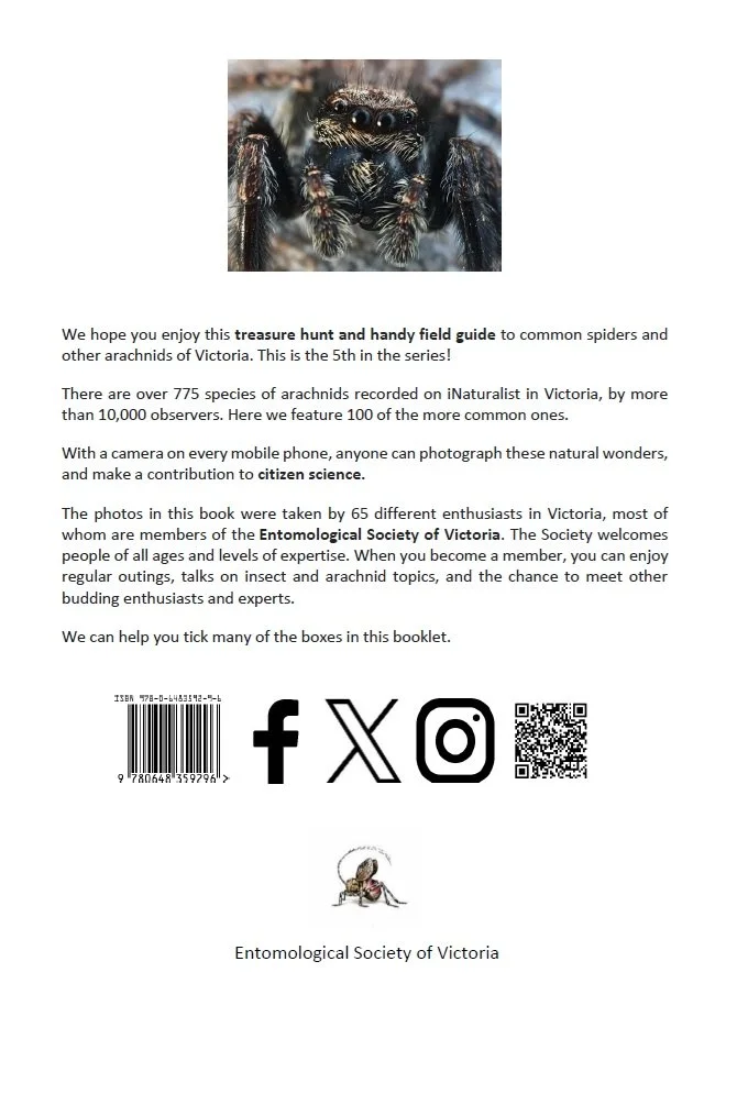 100 Common Spiders - Back Cover.jpg