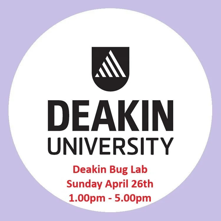 2026-04 - Deakin Bug Lab.jpg
