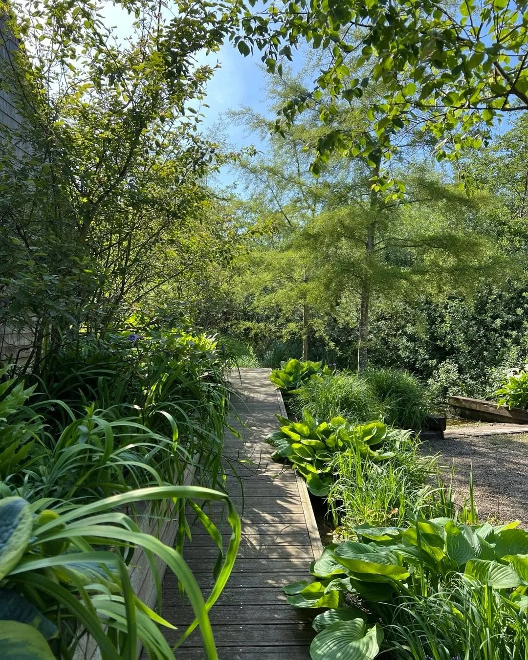 This time of year, the wonderful planting by @tomhoblyn gets going and it feels like paradise!