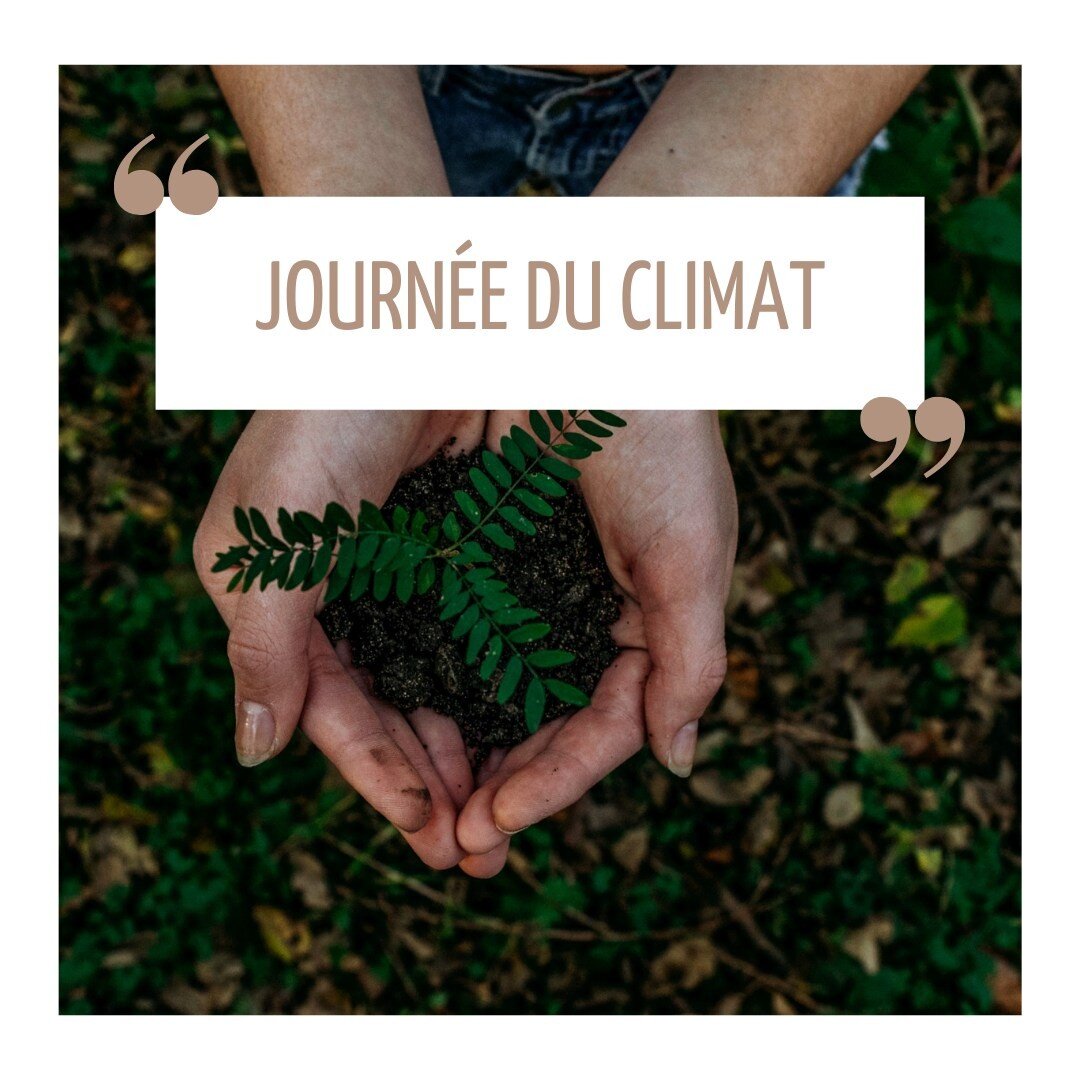 Aujourd'hui c'est la journ&eacute;e mondiale du climat ! Un jour qui nous rappelle l'importance d'agir face au r&eacute;chauffement climatique 🌍 🔥. 

Chez Les Petits Cuistots chaque geste compte ! Dans nos bureaux et sur les lieux de des mariages, 