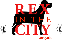 Rex in the City