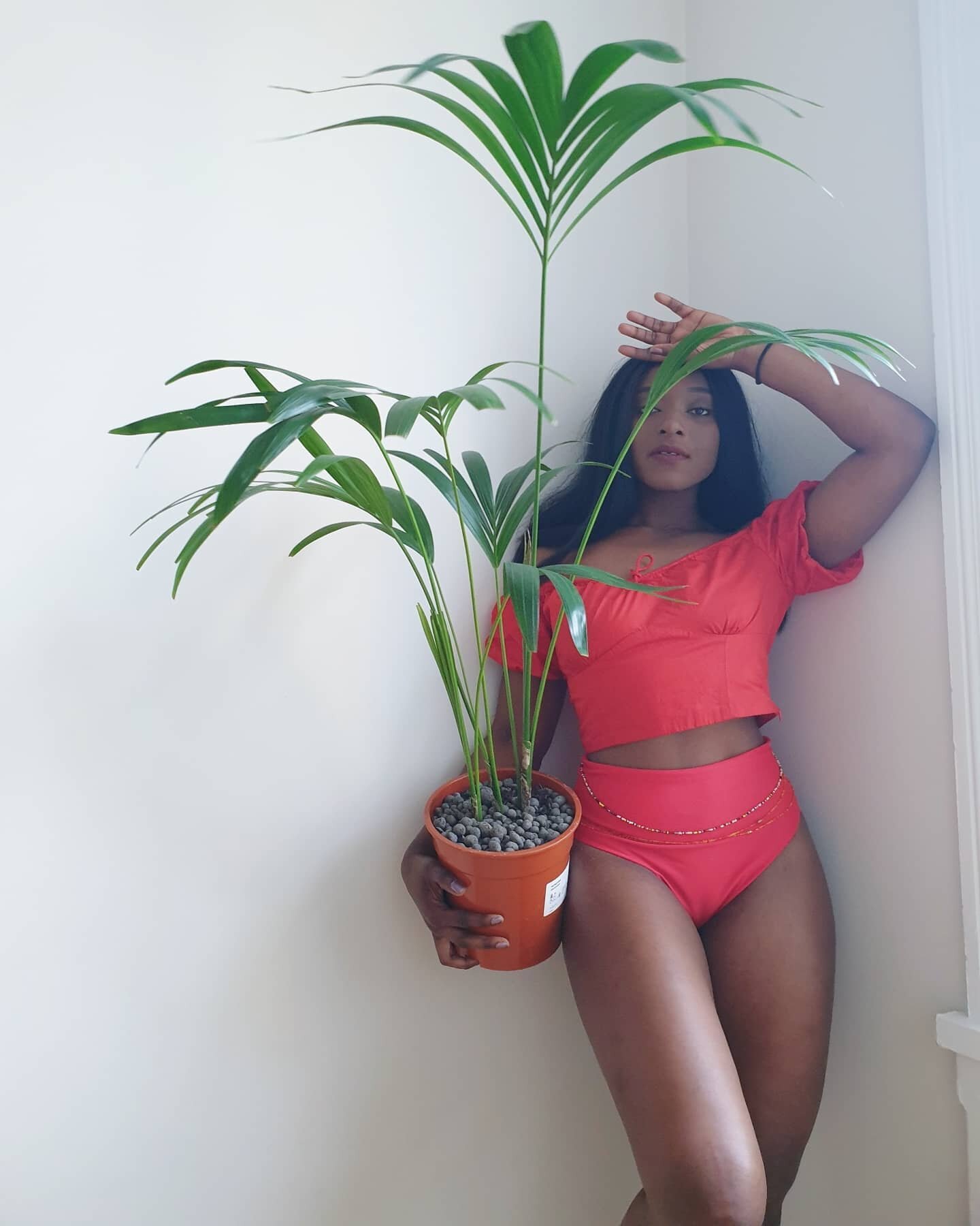Fun facts! 
I talk to my plants and weird enough to name them especially when there is a story to it. 

This is S&bull;I&bull;M&bull;E&bull;N adopted  from four men that couldn't take care of him anymore since they were going their own separate ways.