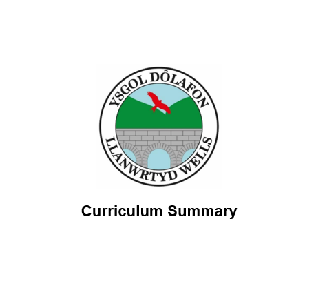 Curriculum Summary Logo.png