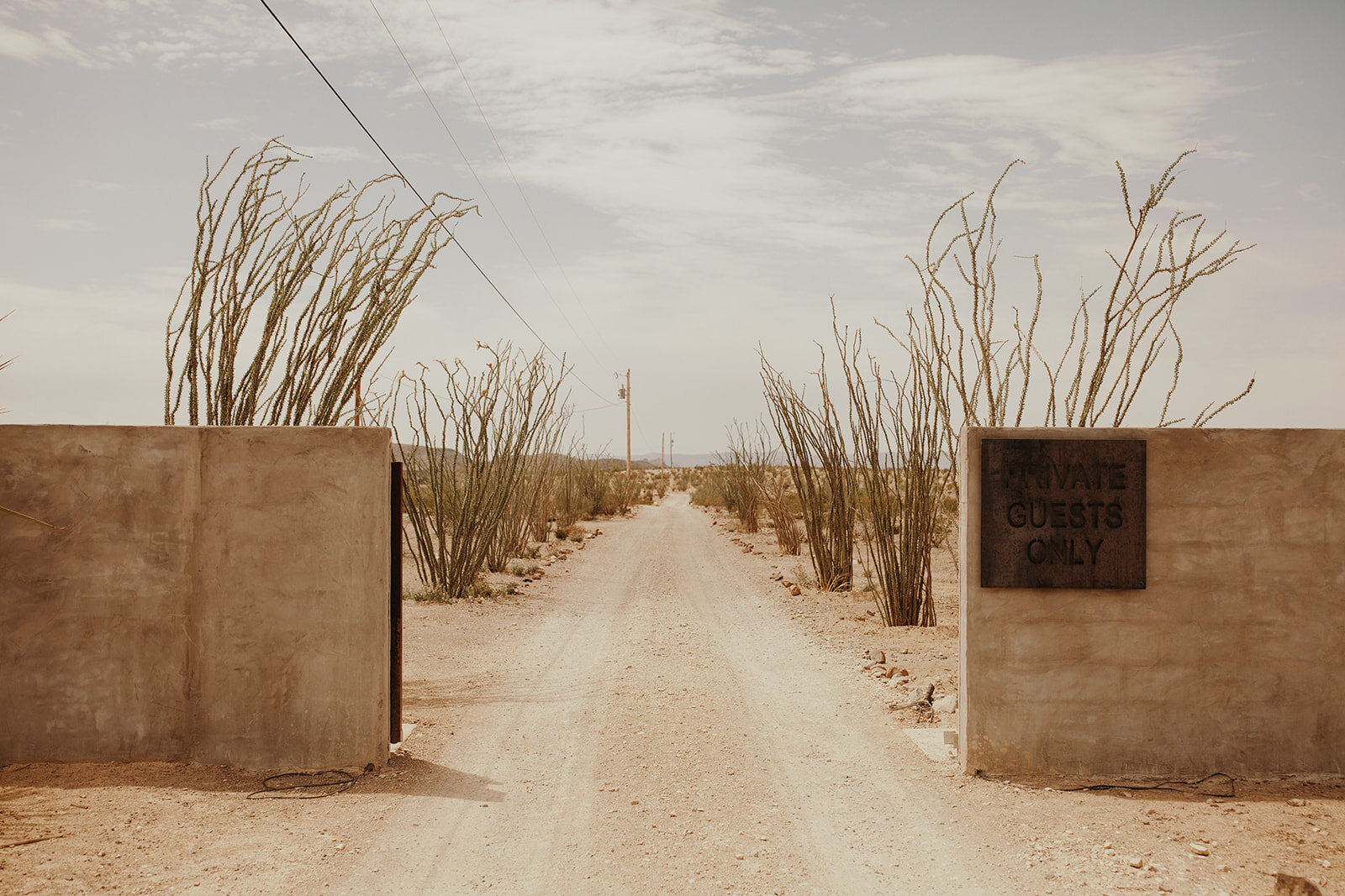 An earthy and romantic desert wedding at Willow House in West Texas 