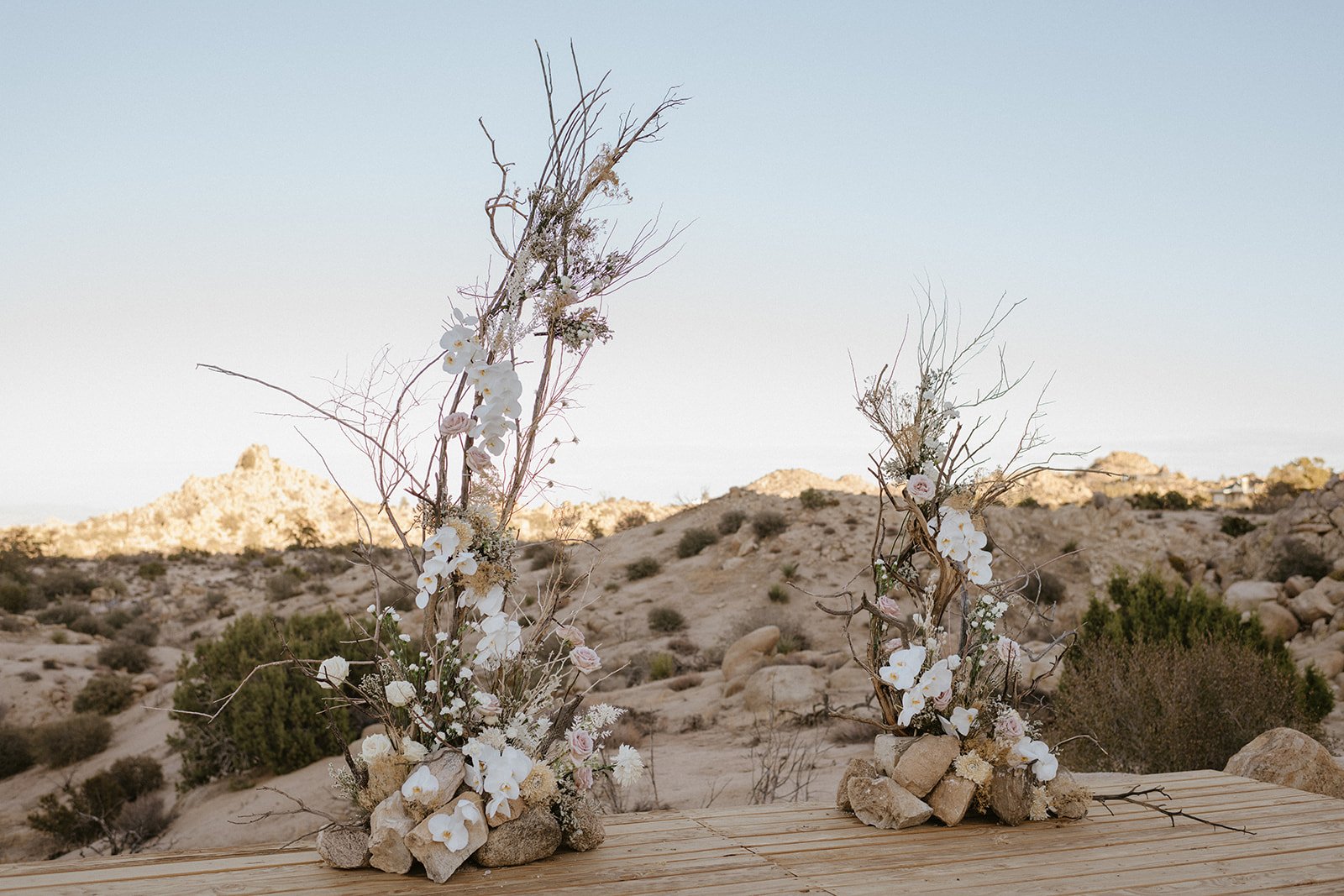 Modern Micro Wedding in Joshua Tree