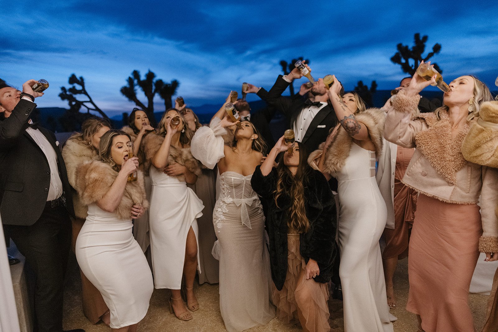 Luxury Micro Wedding in Joshua Tree