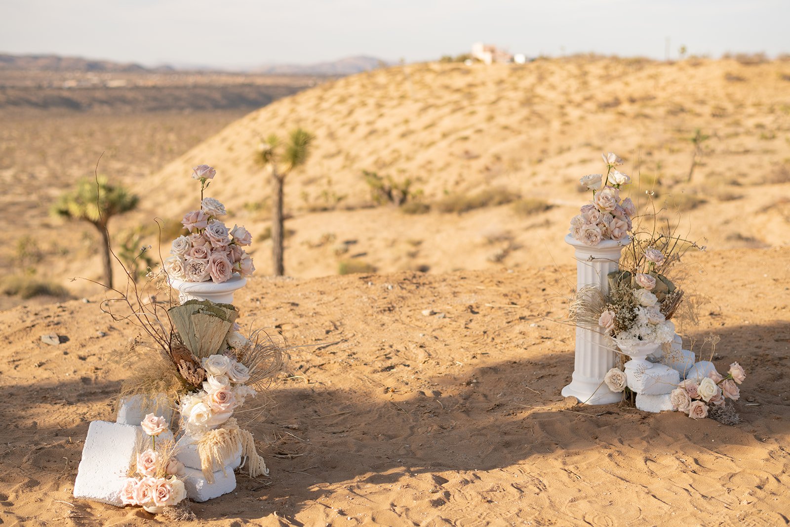 Luxury Micro Wedding in Joshua Tree