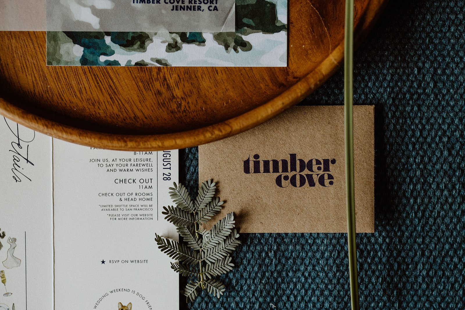 Timber Cove Resort Wedding on the Sonoma Coast