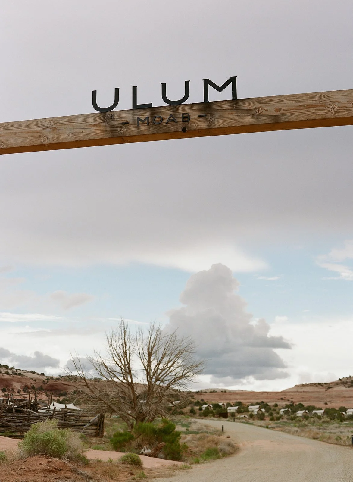 Mae&Co Creative ULUM Moab Luxury Wedding