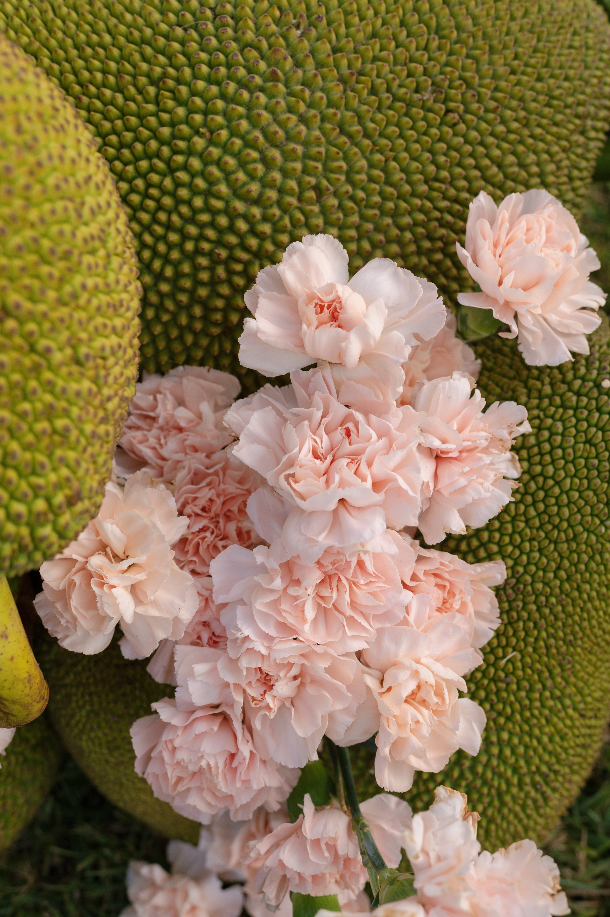 Mae&Co Creative_Rosewood Mandarina Mexico Wedding_3.jpg