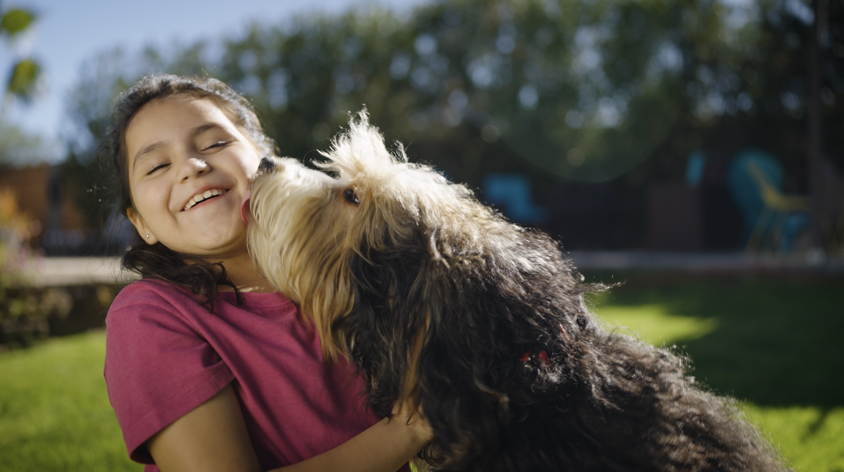 Working with Animals on Set: How Preparation Turns Challenges into Magic