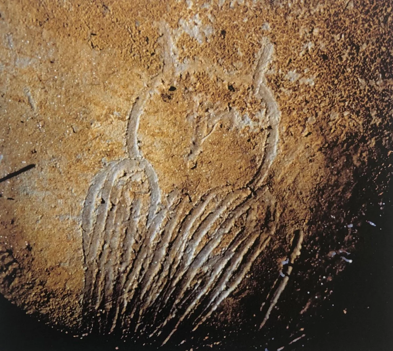 Owl rendering in Chauvet cave