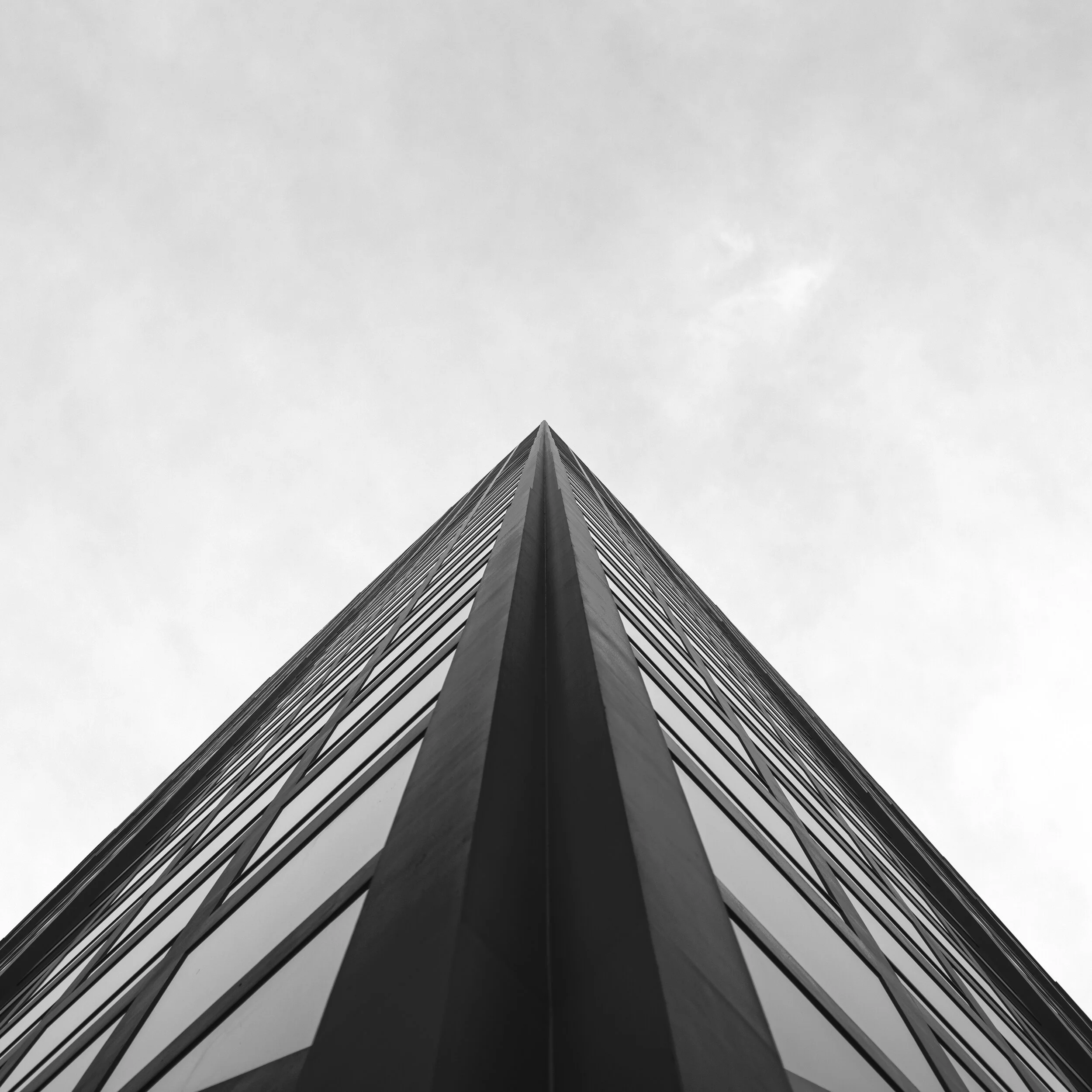 Image-3.jpg