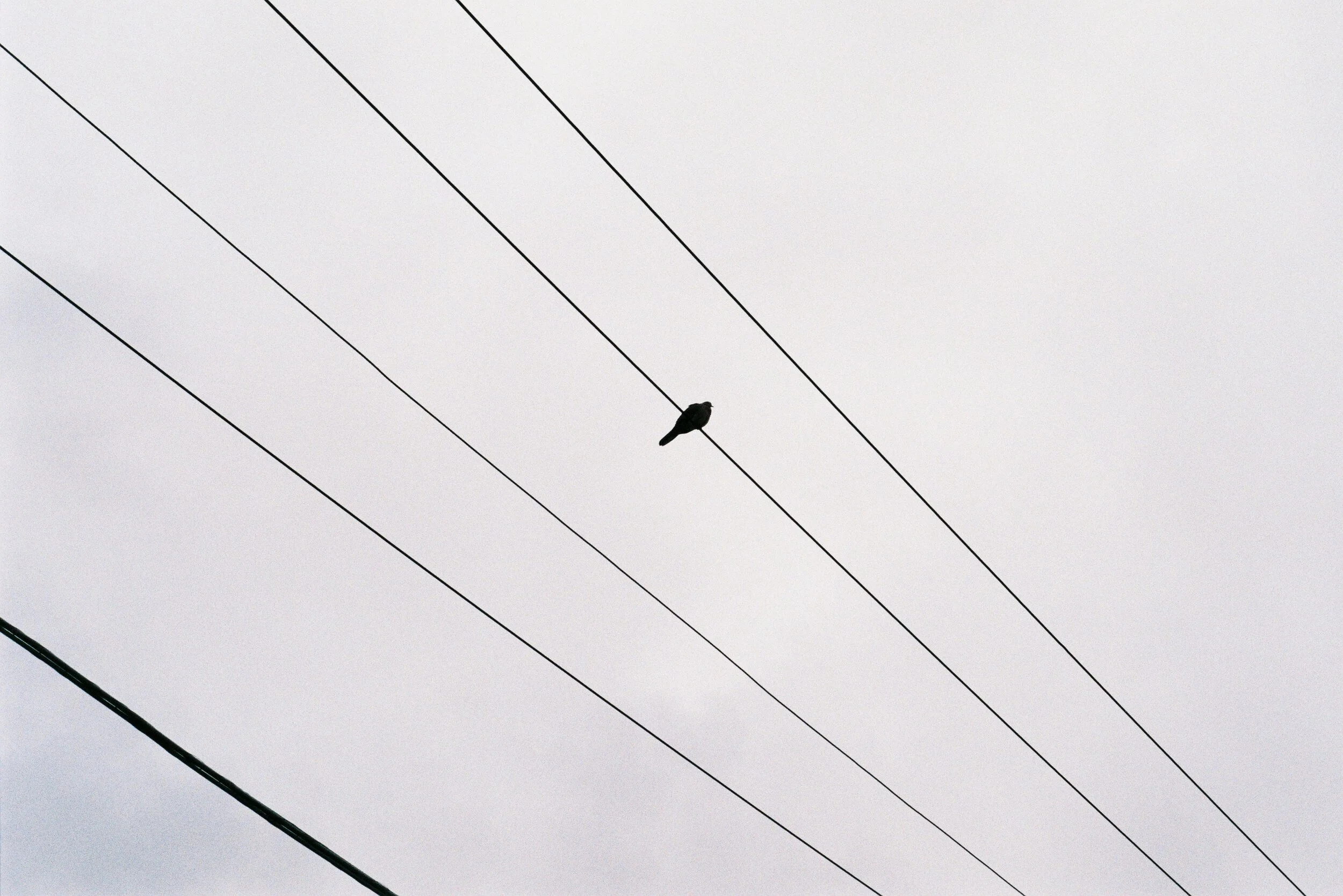 minimal nature photography