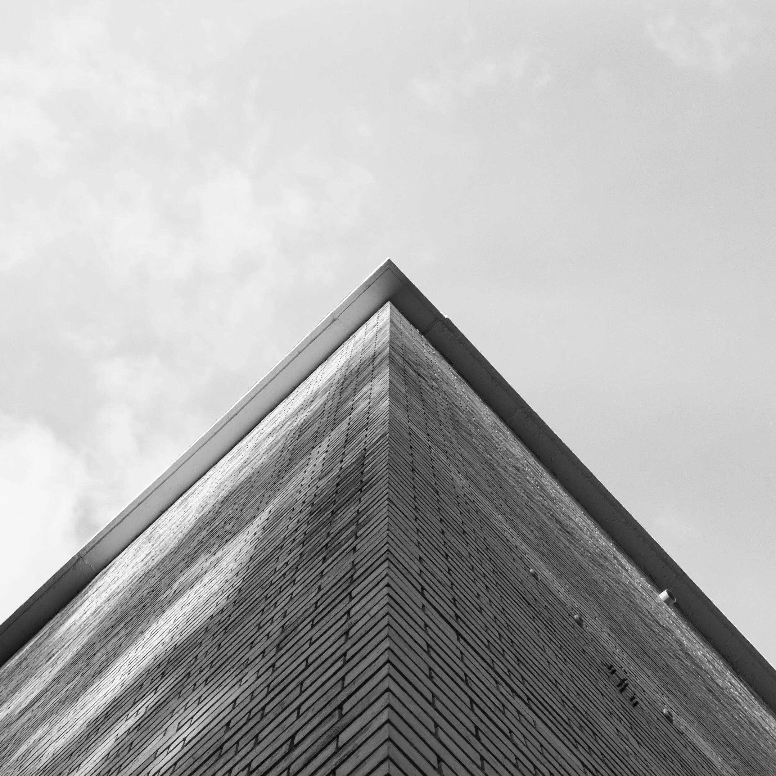 Image-6.jpg