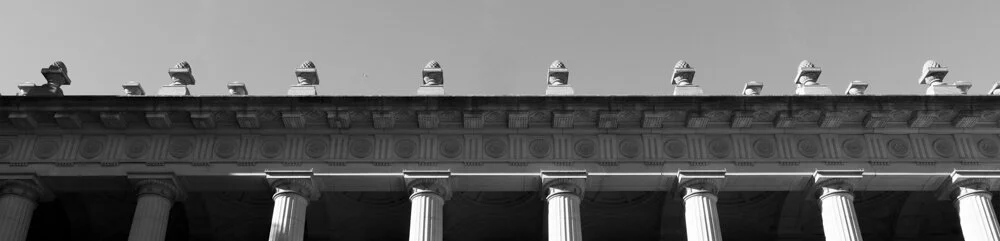 tselepis_timothy_the city by the bay_ROW4_IMAGE1.jpg