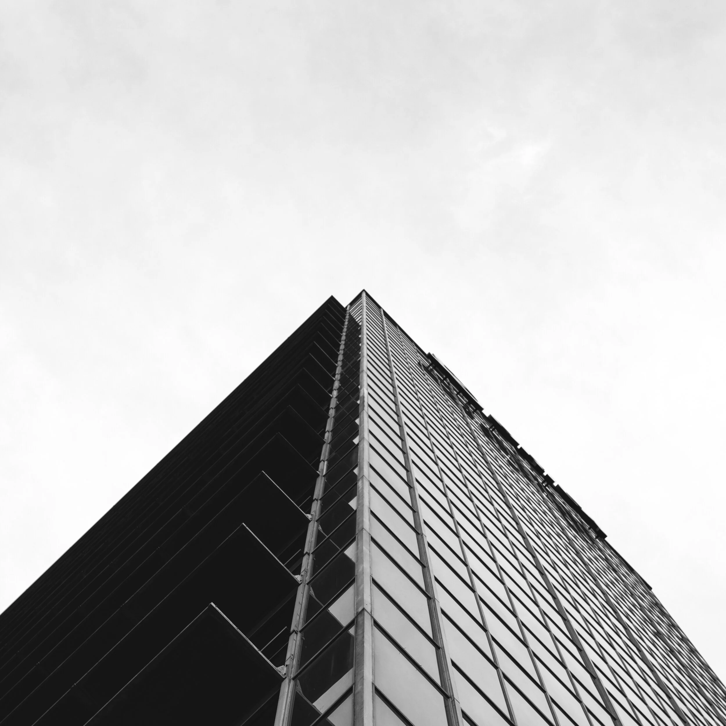 Image-4.jpg