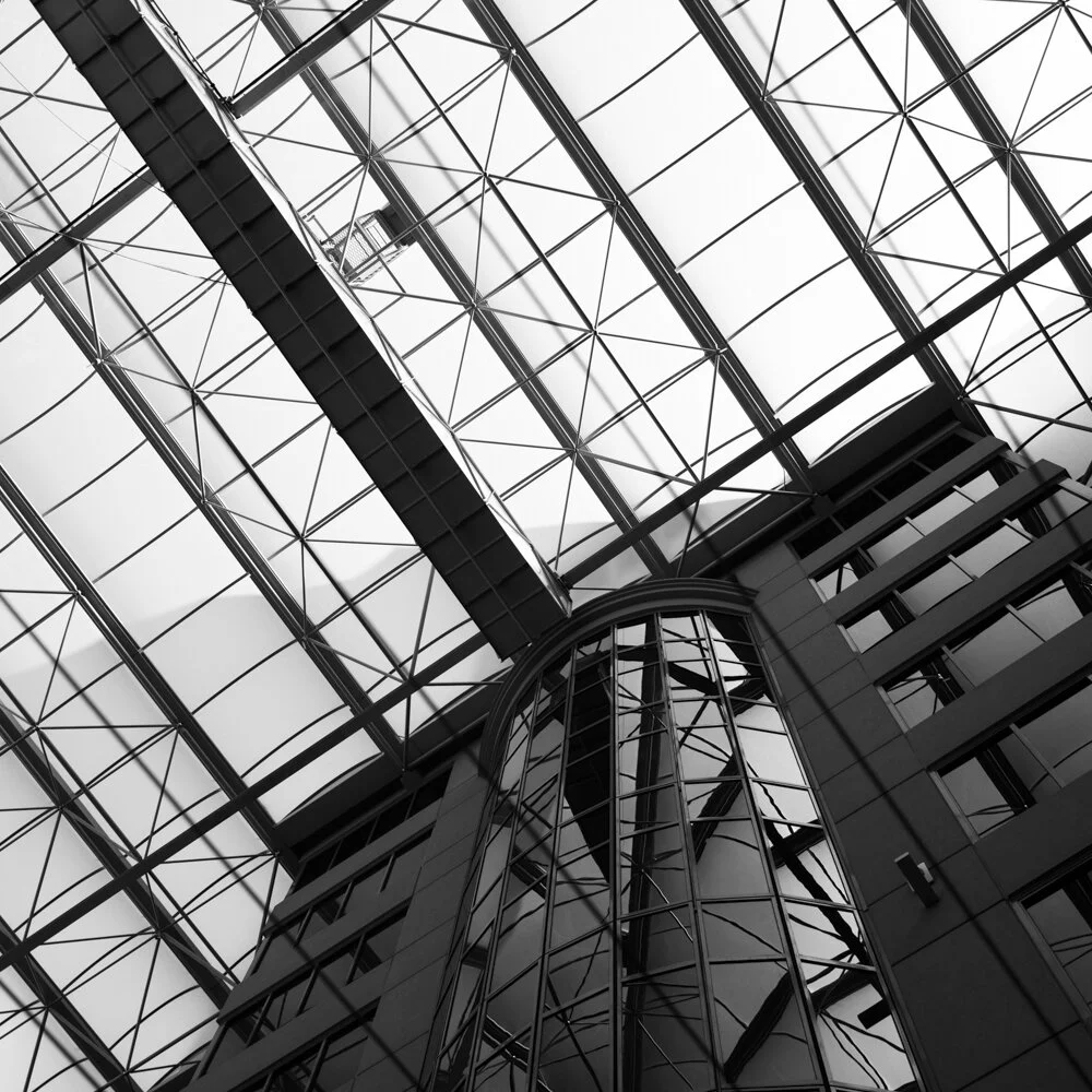 tselepis_timothy_the city by the bay_ROW1IMAGE3.jpg