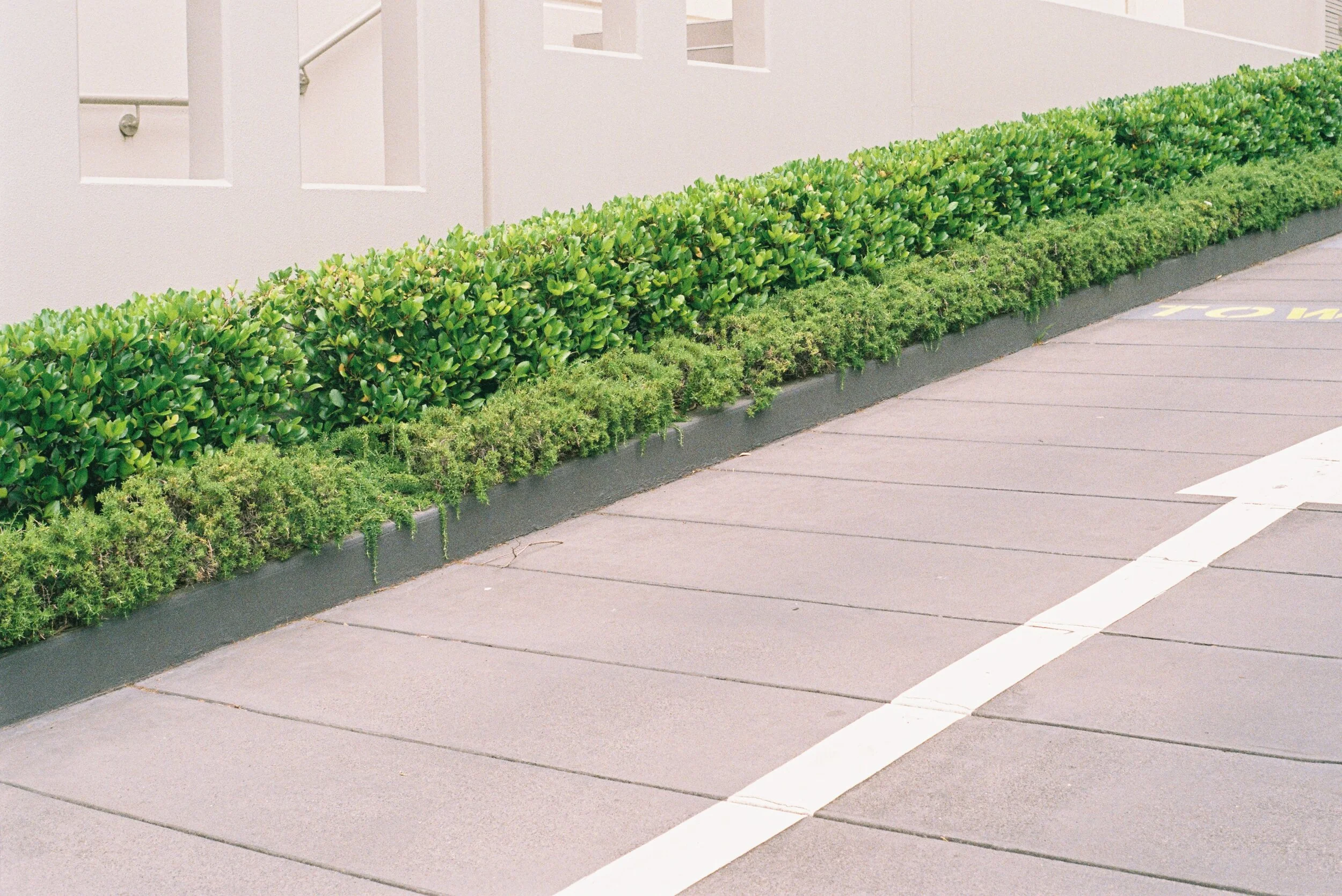 suburban melbourne photography