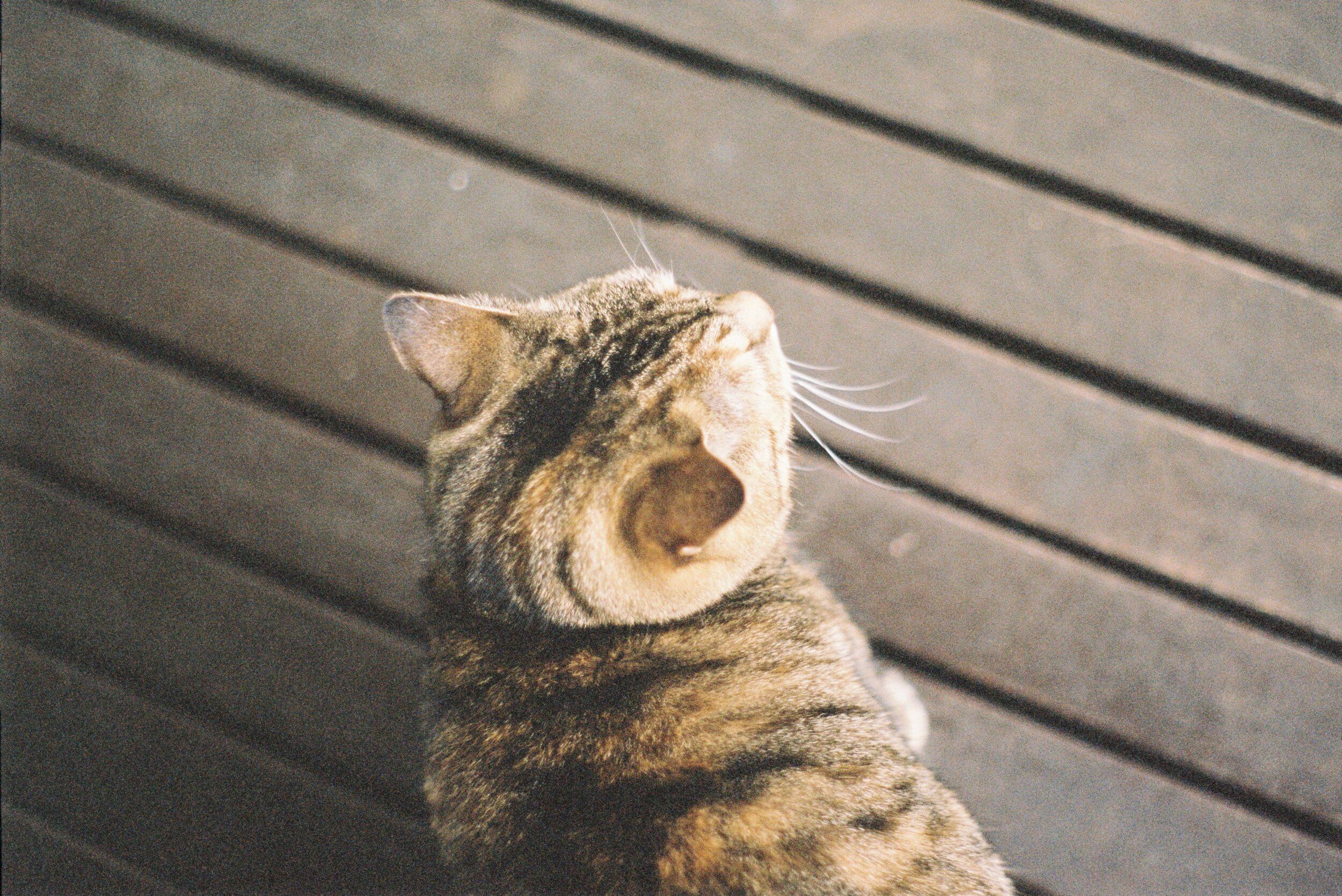 000030.JPG