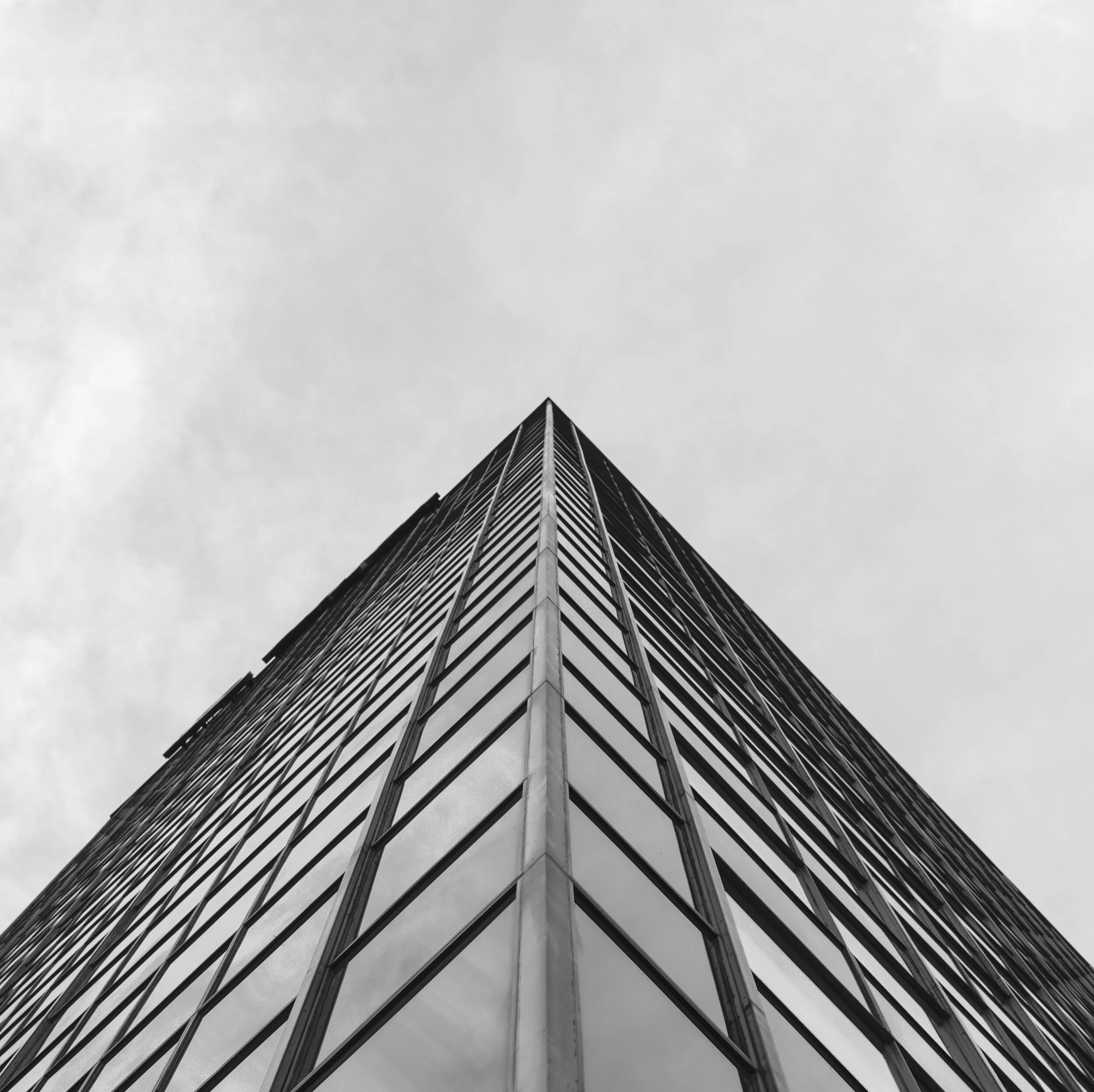 Image-5.jpg