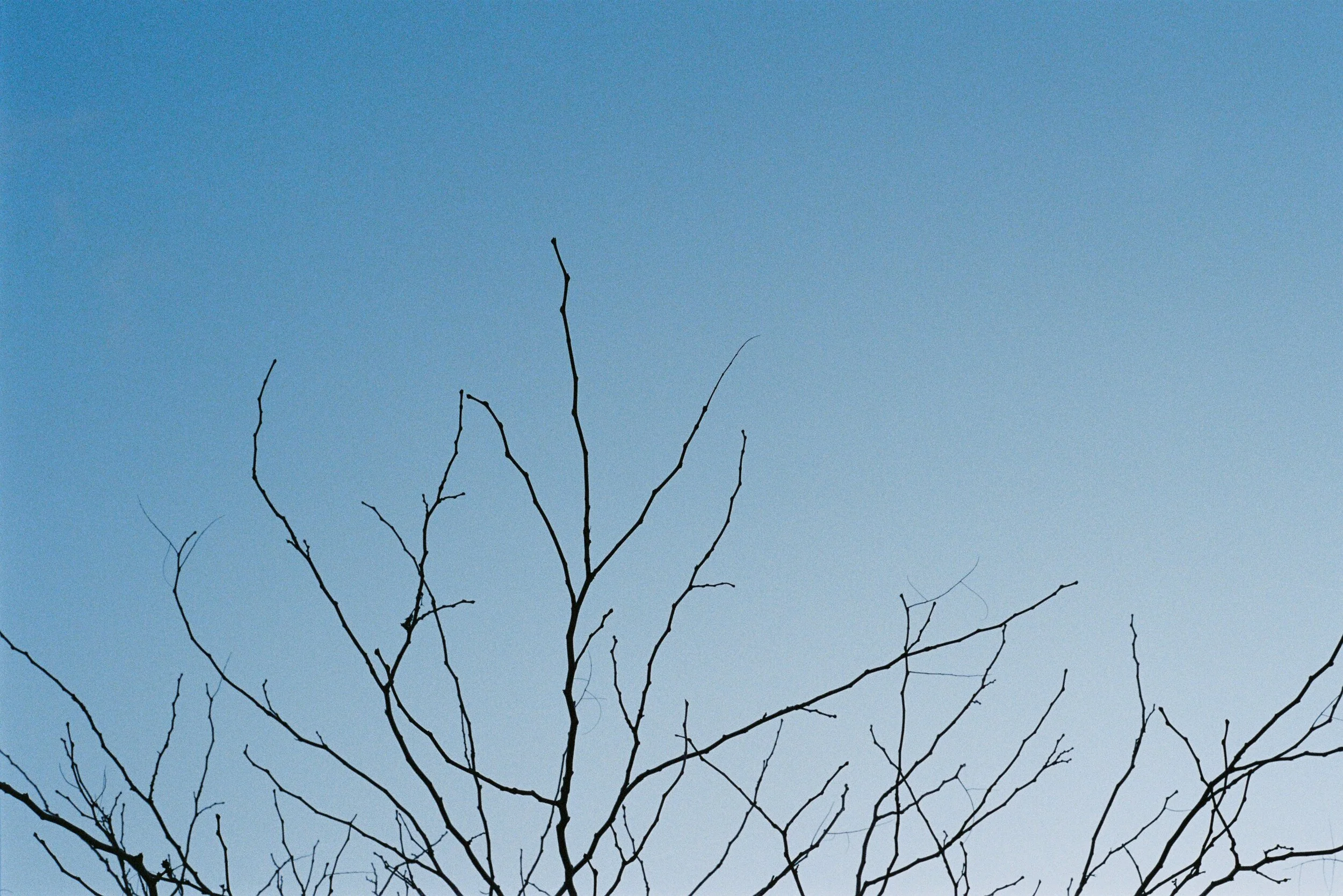 000028.JPG