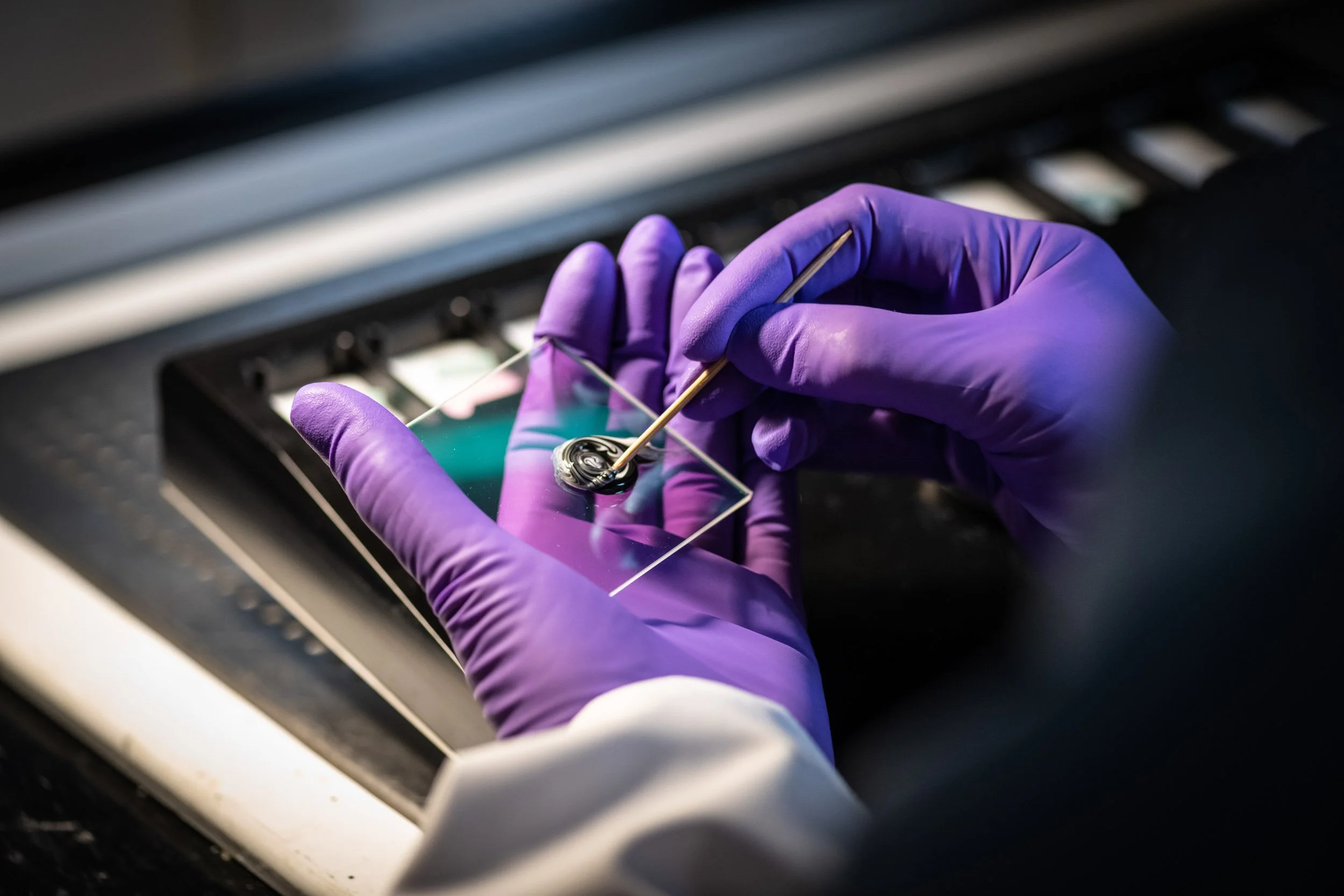 Filter Wheel Assemblies