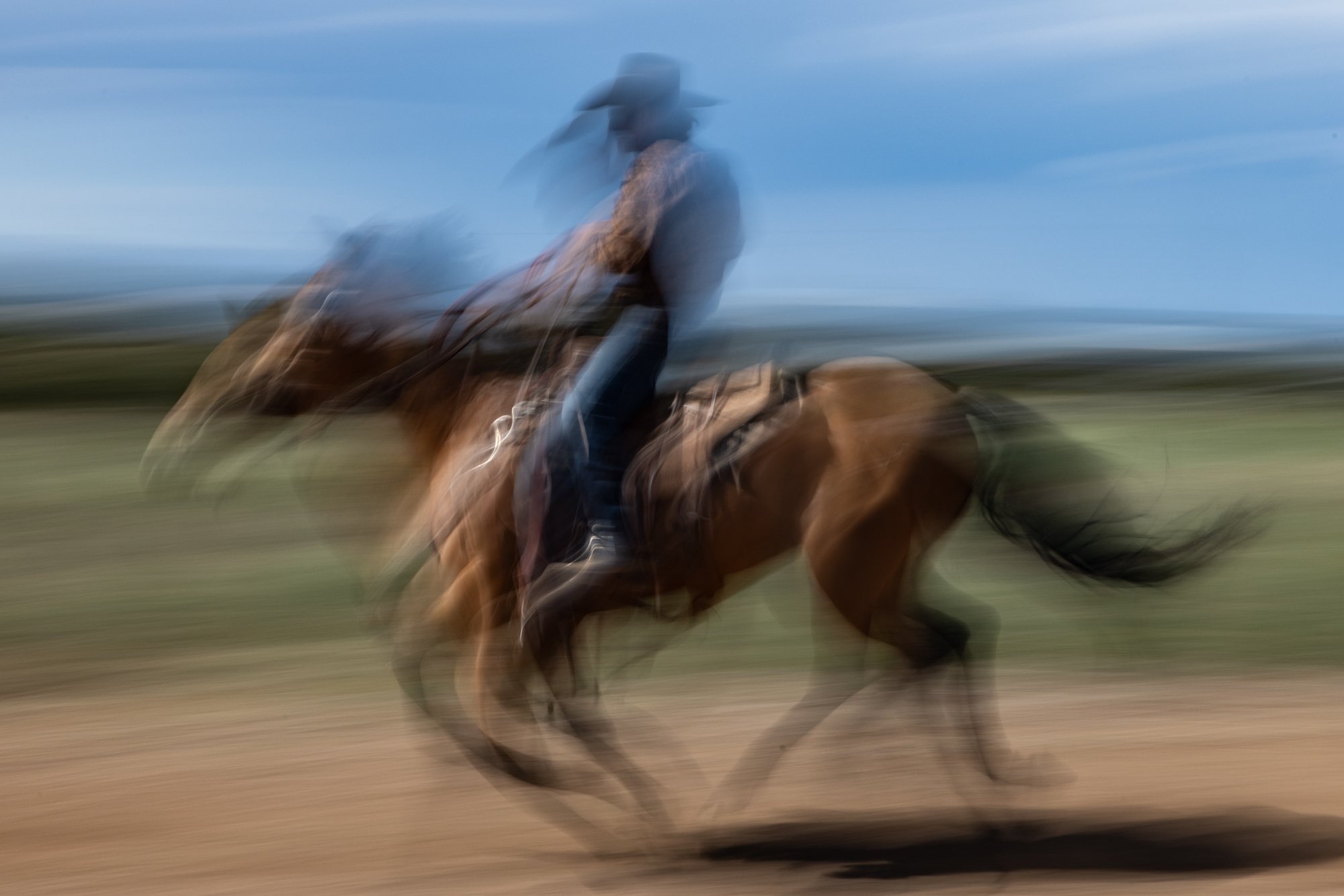 Horse for website.jpg