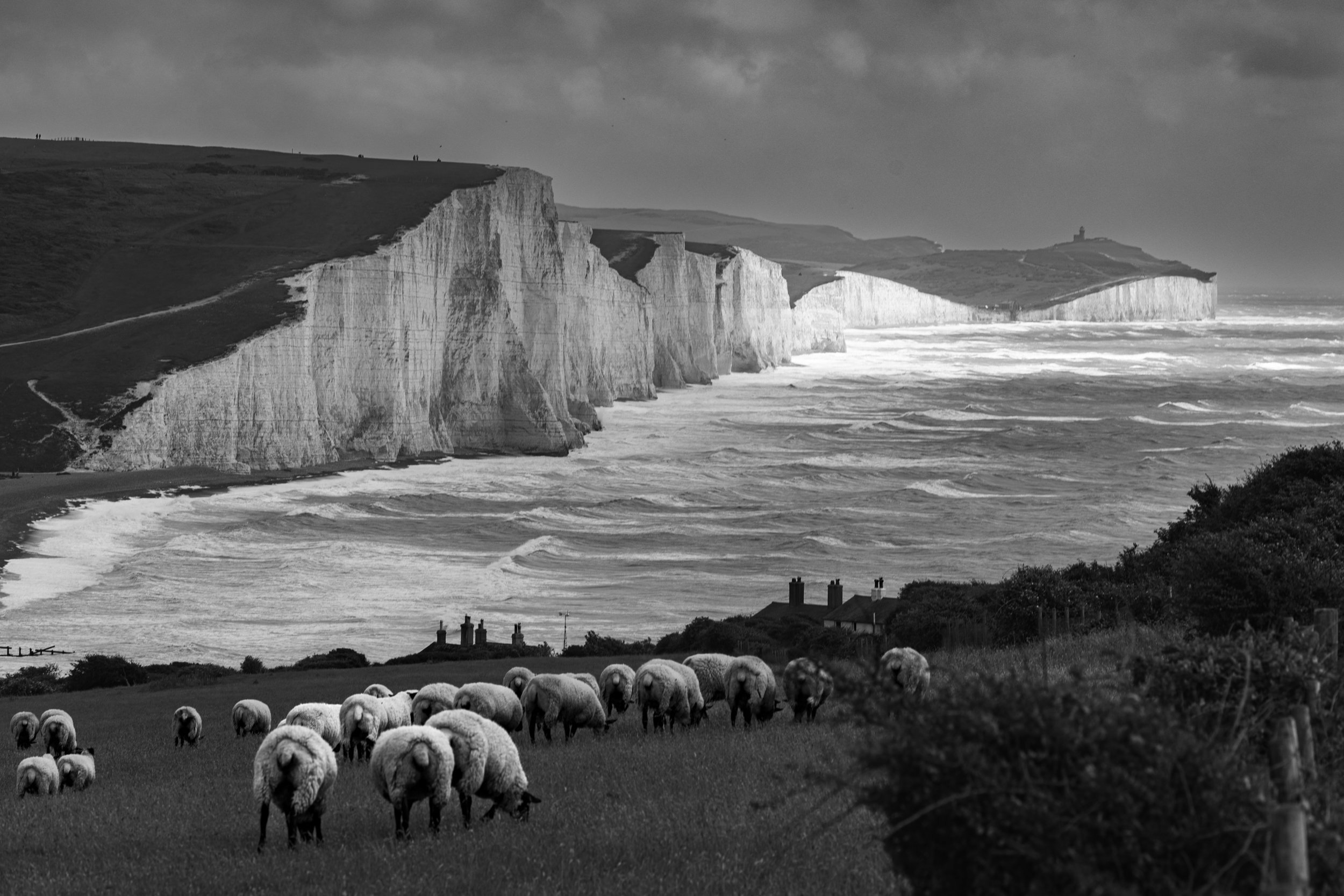 Eastbourne B&W-3.jpg
