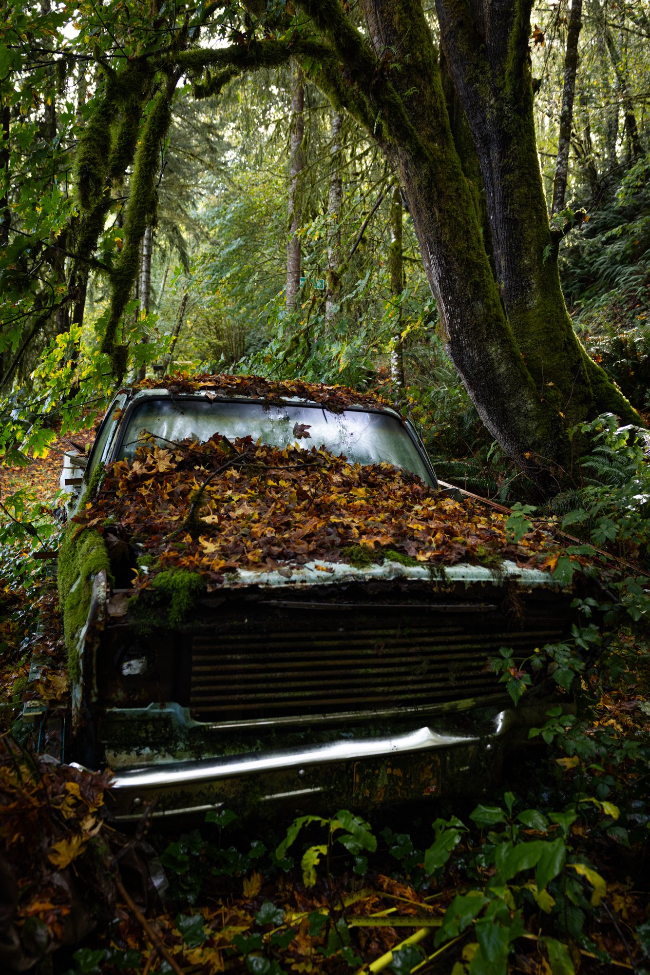 Abandoned car.jpg