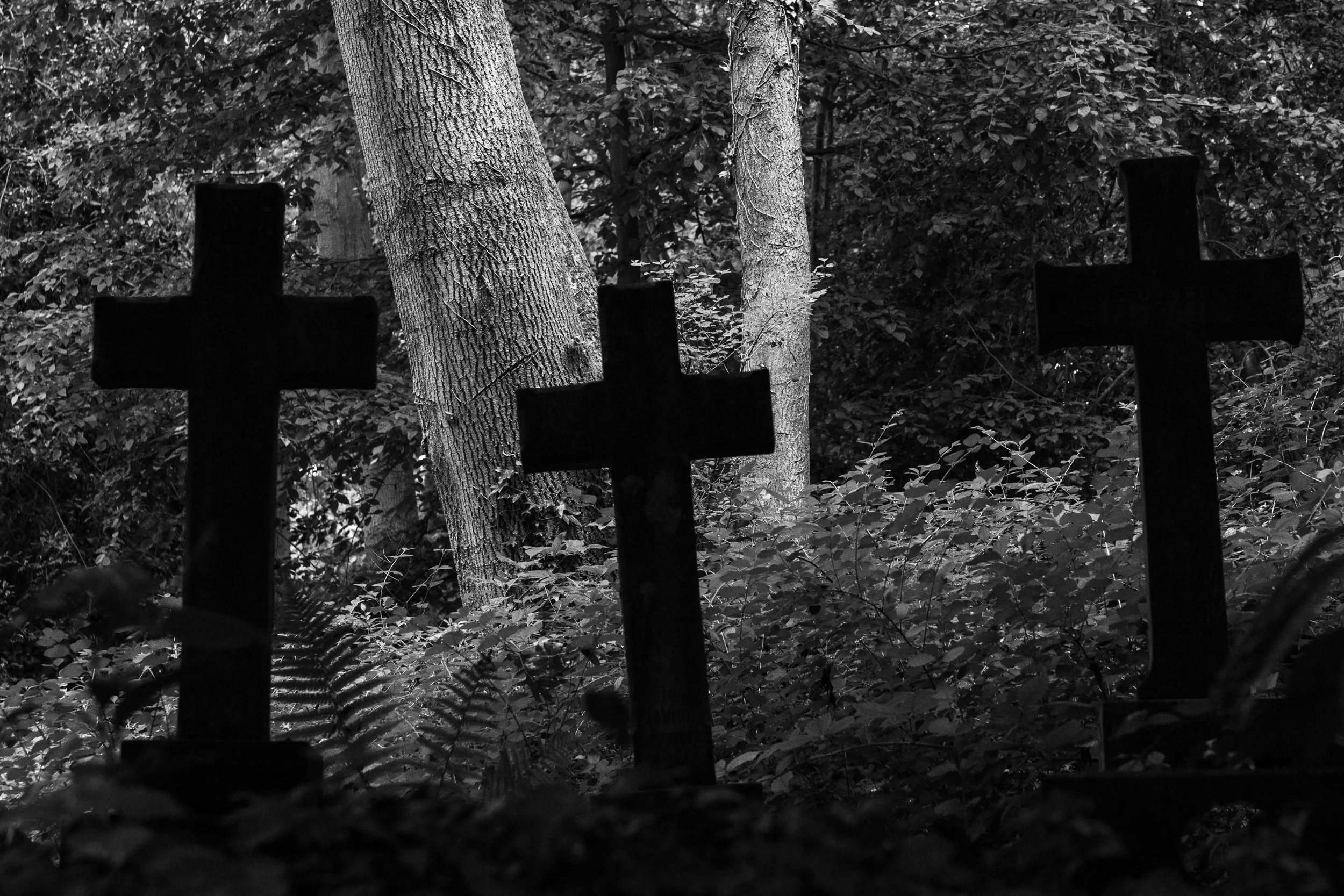 Highgate-3.jpg