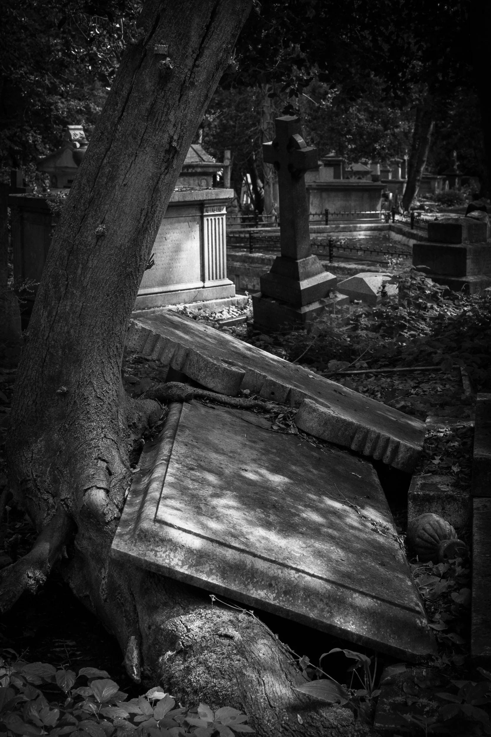 Highgate-1.jpg