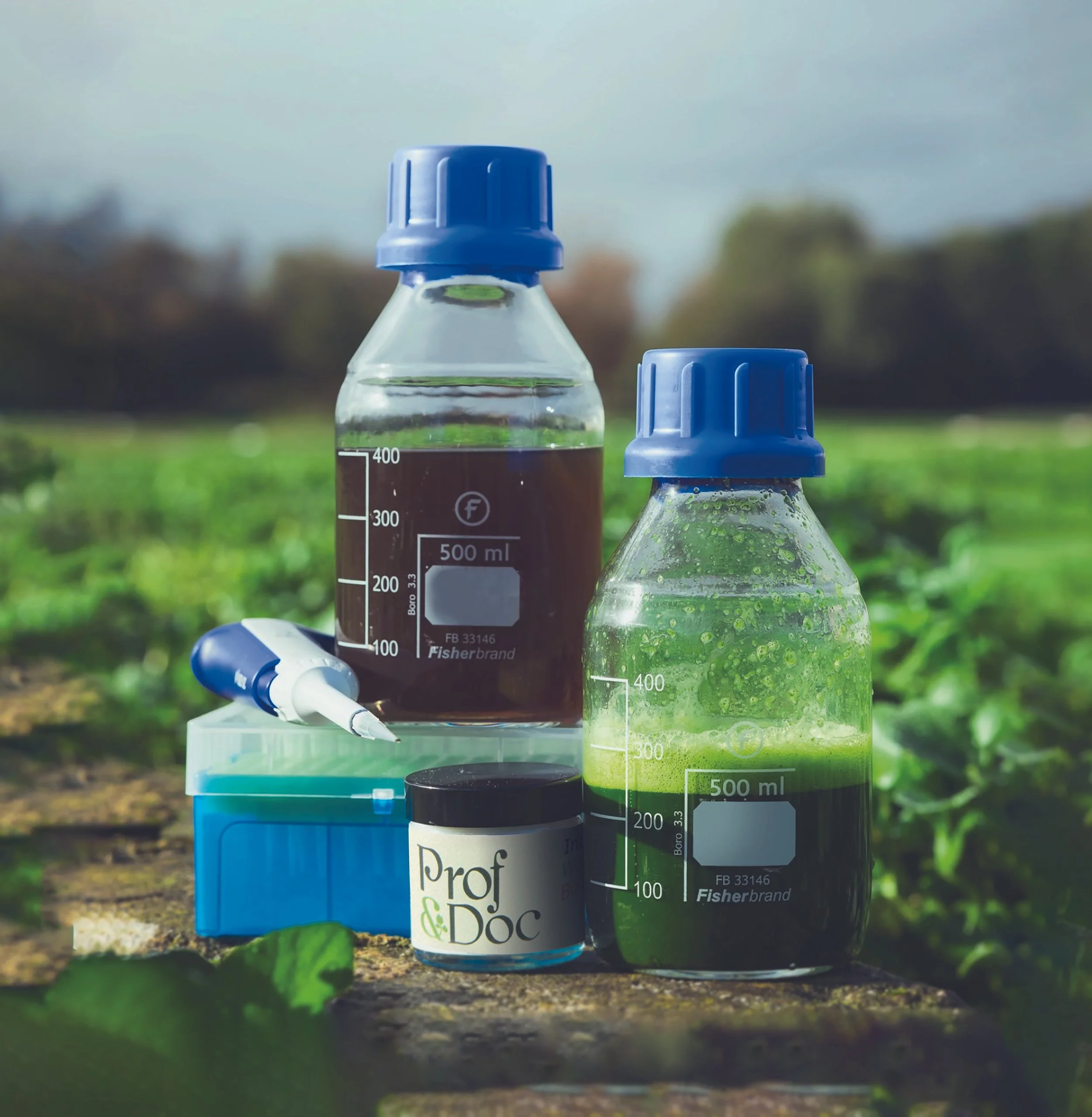 bottles in field no labels copy.jpg