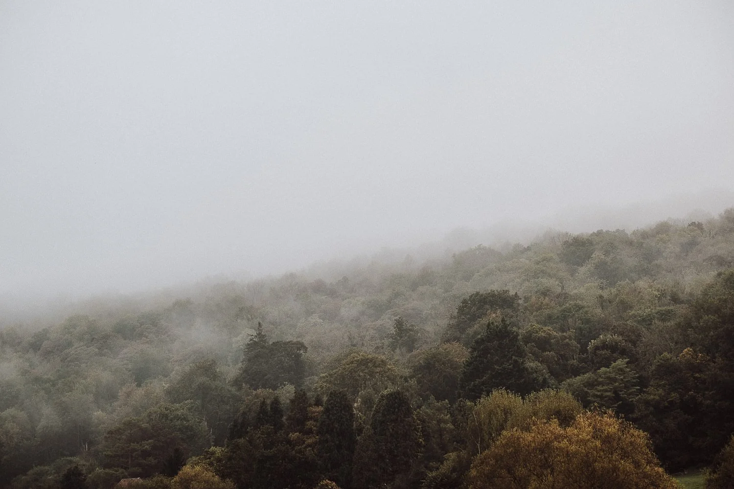 2025 in Review: A Year of Growth, Gratitude and Big Transitions