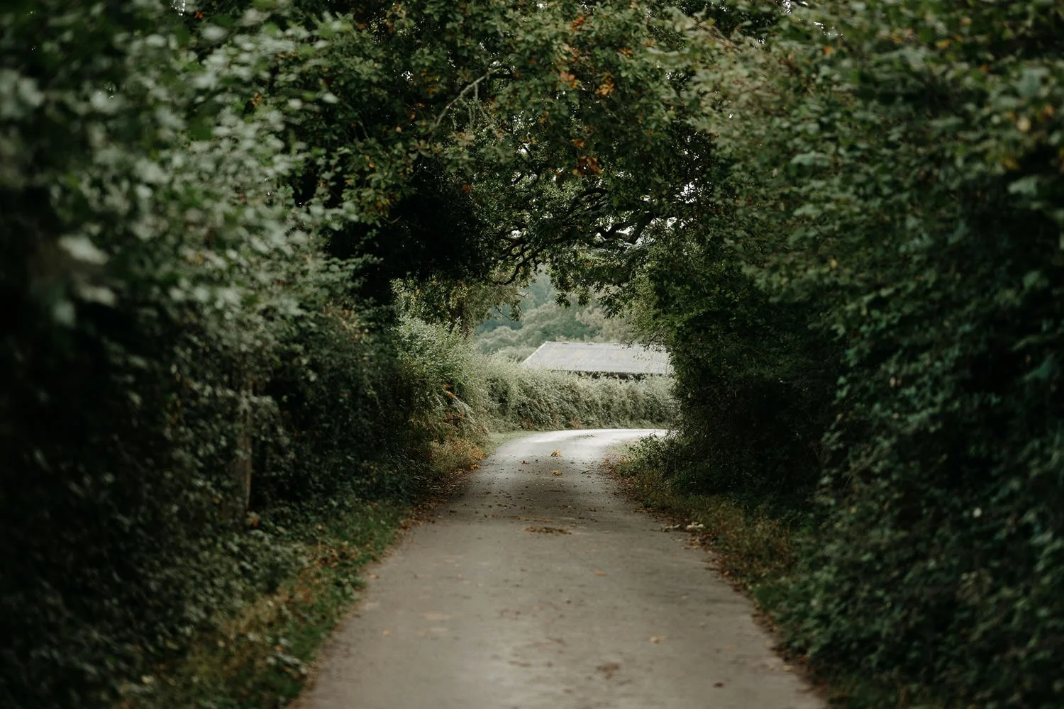 Surveying in Rural Areas: The Quiet Country Road (Until You Set Up the Tripod)