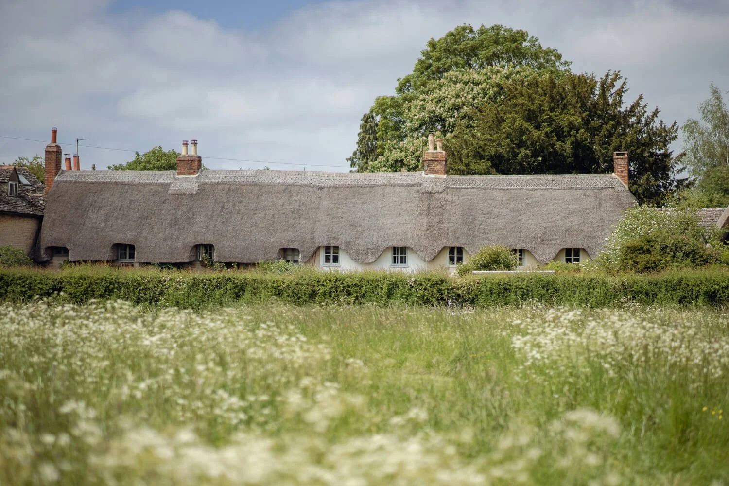 A traditional thatched cottage with four small windows and four chimneys, surrounded by trees and a grassy field with white flowers in the foreground.