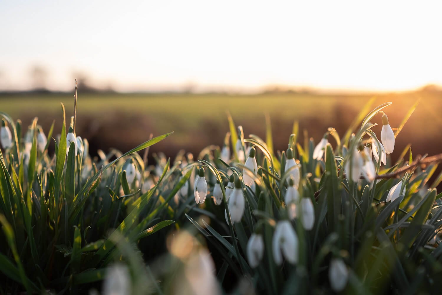 The Quiet Spell of the Spring Equinox