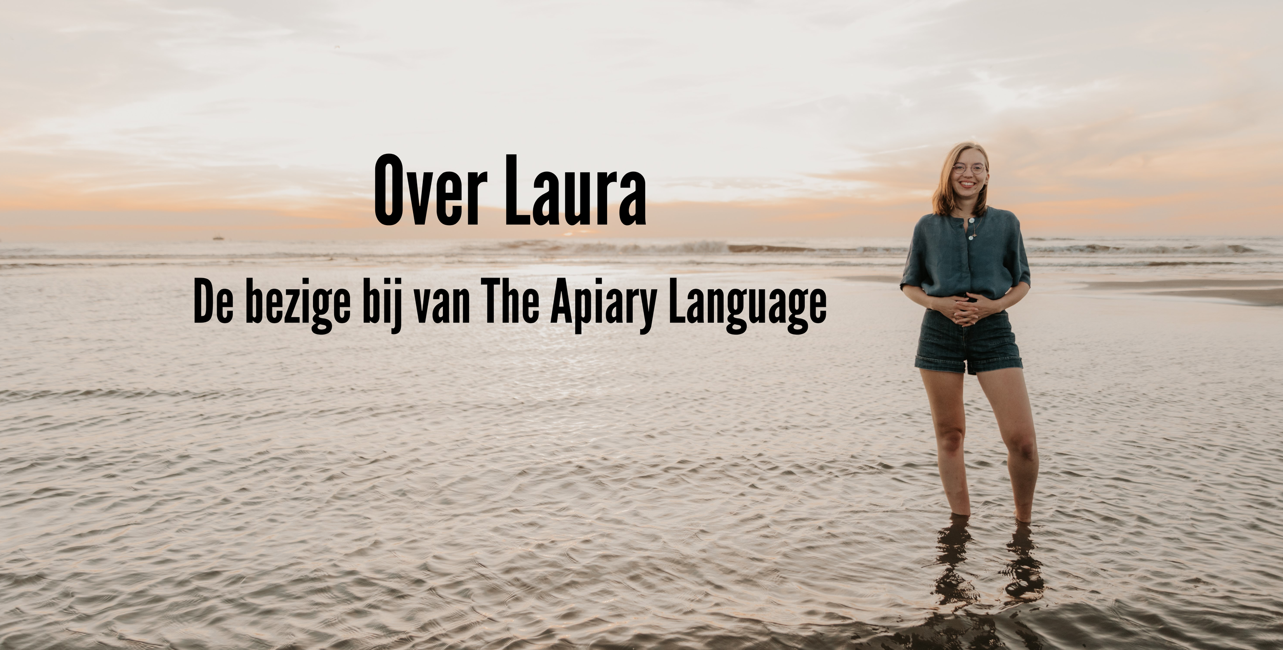 Het gezicht achter The Apiary Language