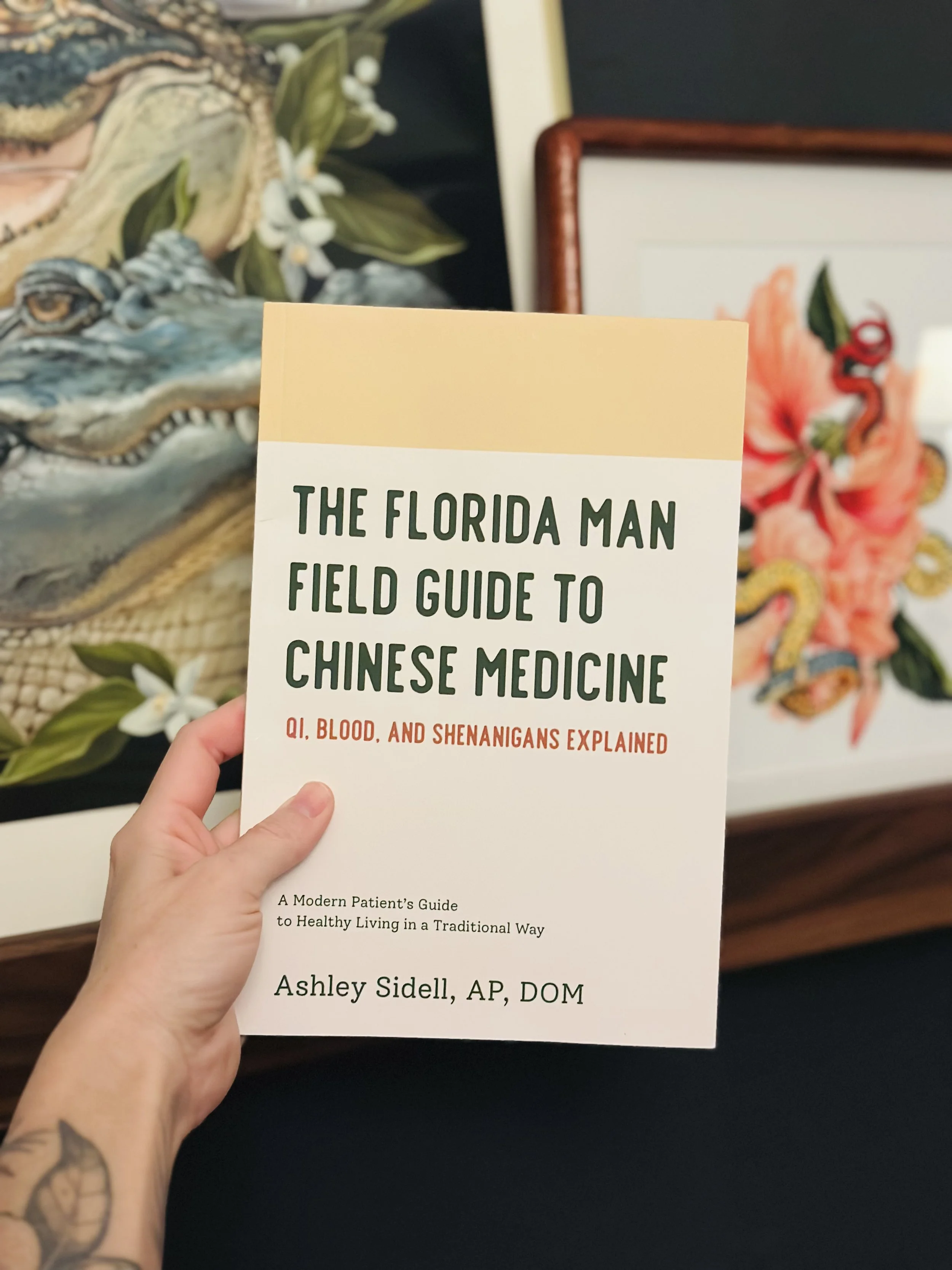 A person holding a book titled 'The Florida Man Field Guide to Chinese Medicine Qi, Blood, and Shenanigans Explained' by Ashley Sidell. In the background, artwork featuring an alligator and another of a snake coiled around a flower is visible.