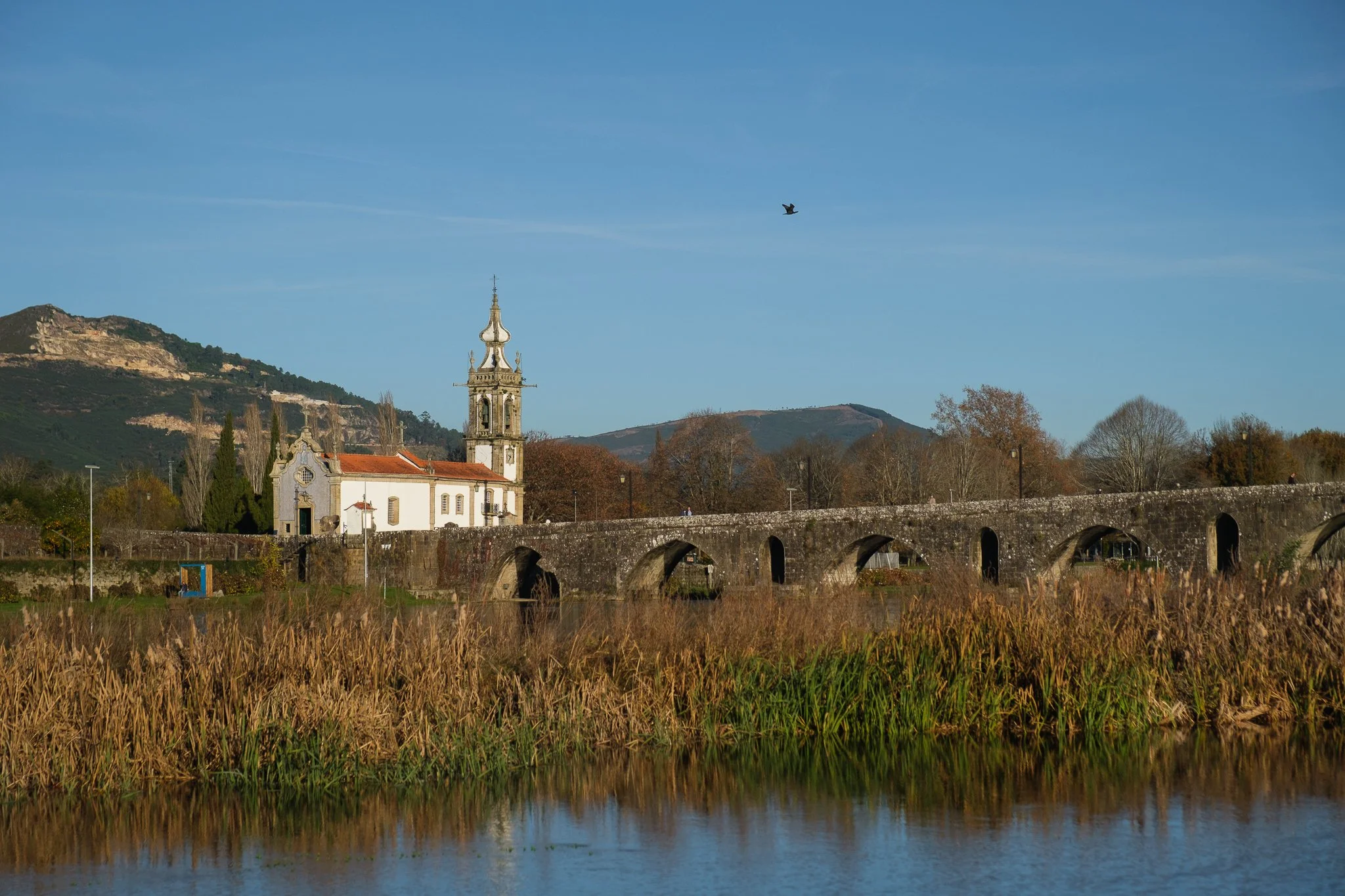 DSCF7848.jpg