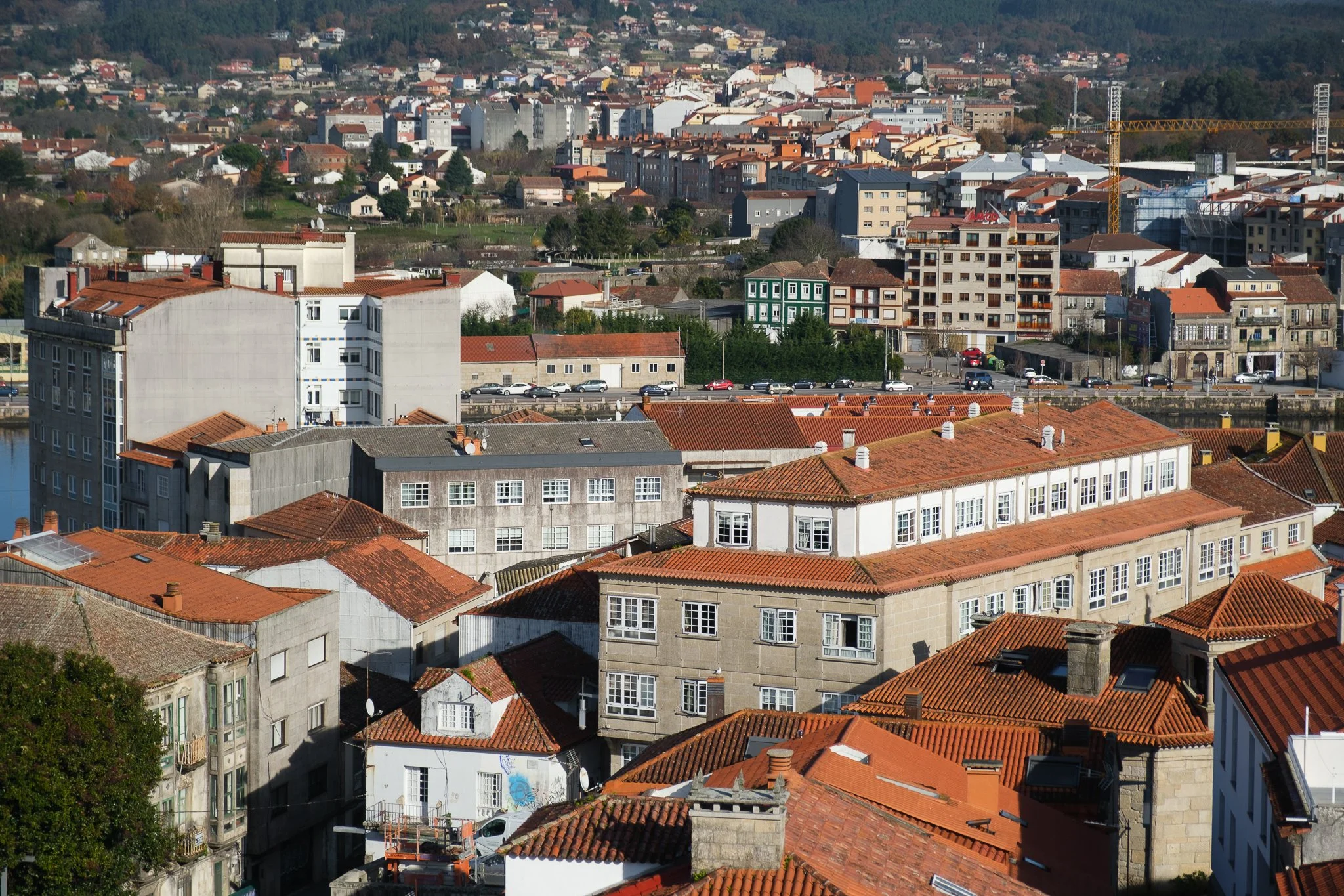 DSCF7885.jpg