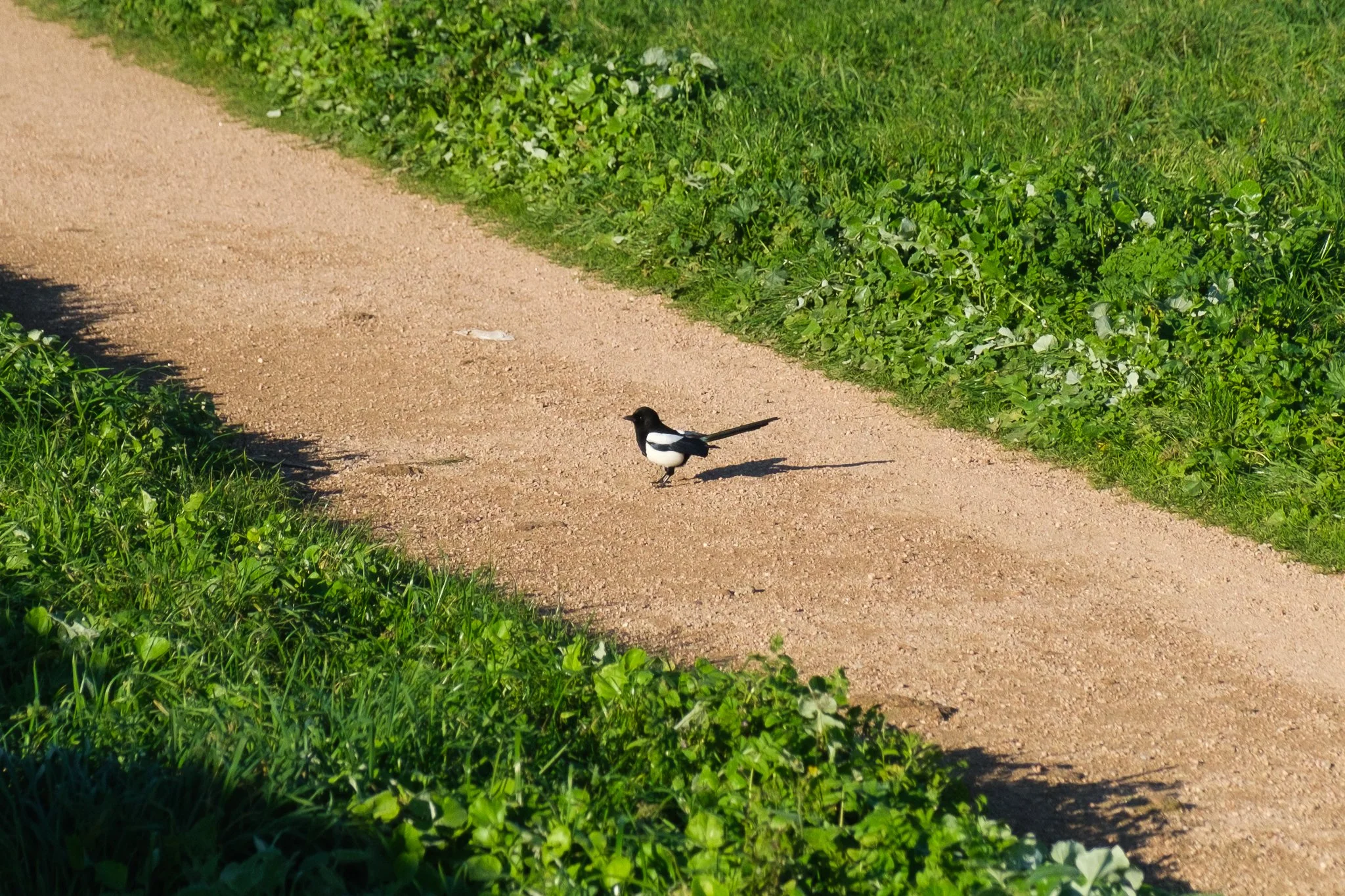 DSCF7978.jpg