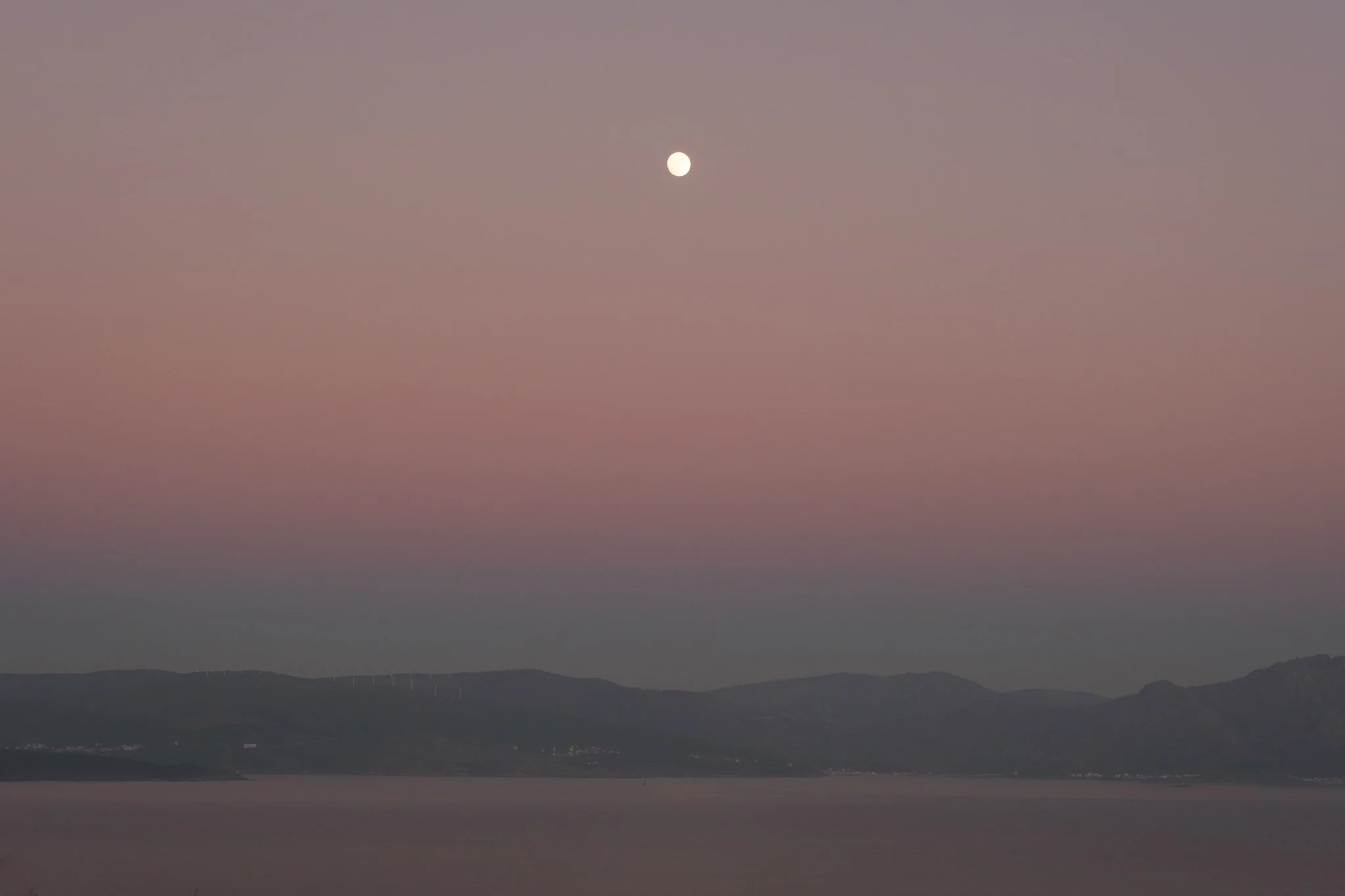 DSCF8079.jpg