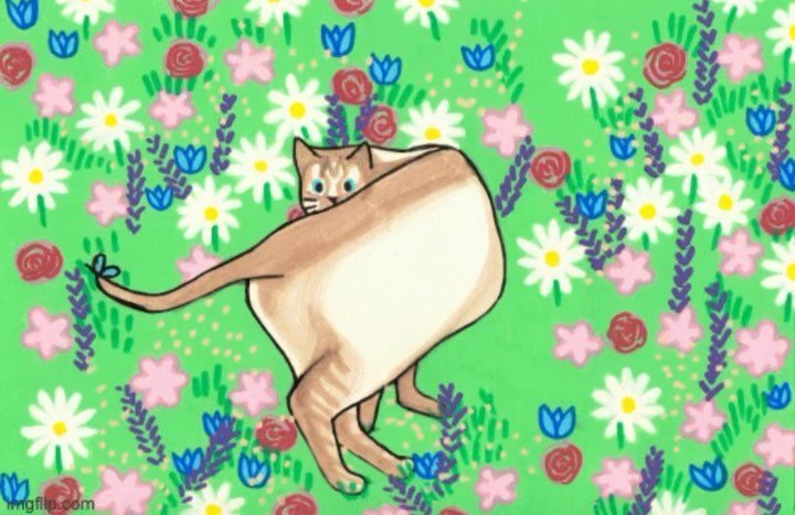 Created a hand-drawn gif of my sweet little cross-eyed kitty, JJ 🤍 swipe to see my reference video and more pics of him 🐱🐱