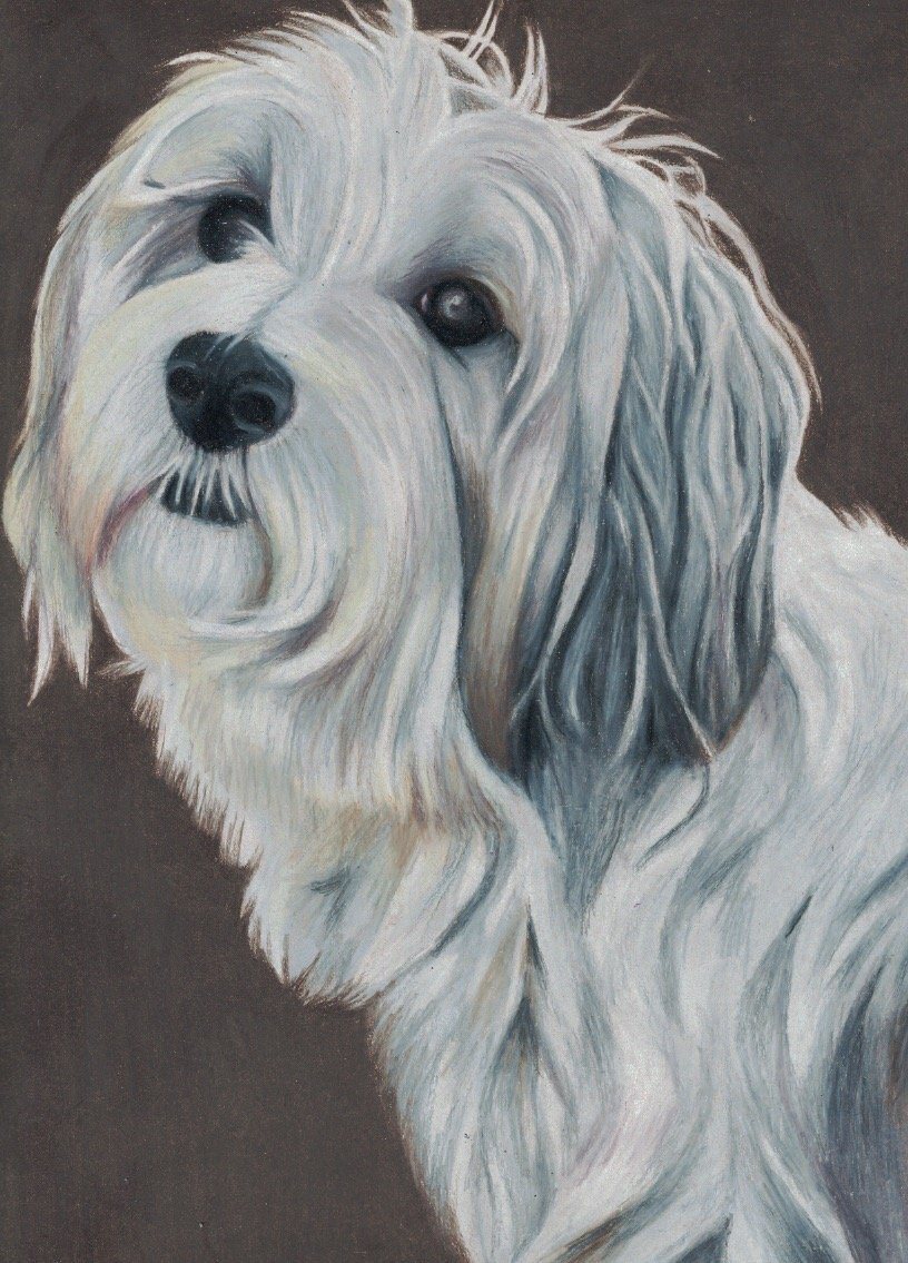 2018, colored pencil on tan paper, 12 x 9 in.