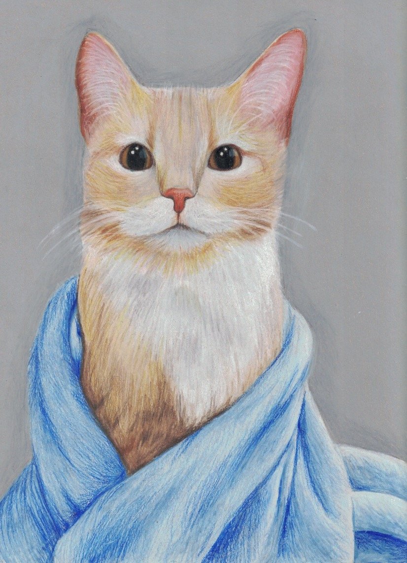 2017, colored pencil on tan paper, 12 x 9 in.
