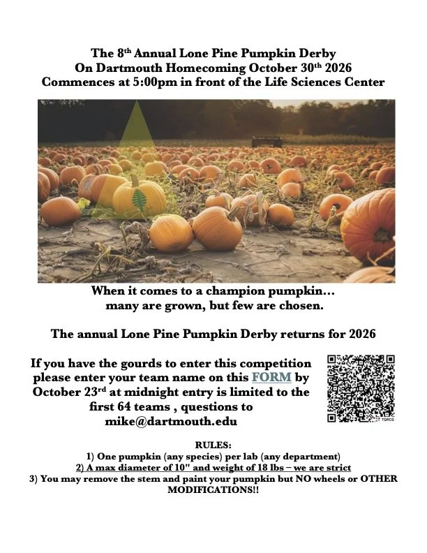 The 8th Annual Lone Pine Pumpkin Derby