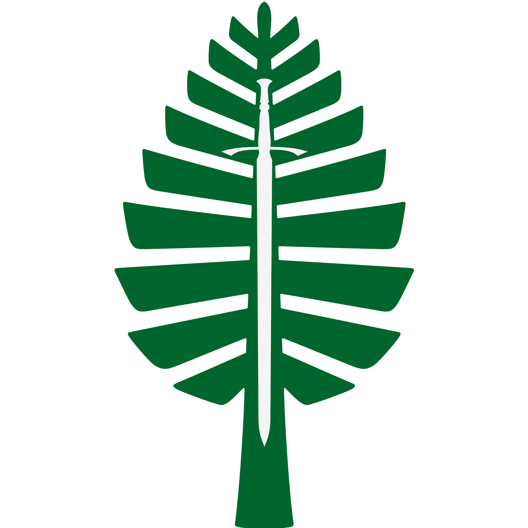 DSG logo white.png