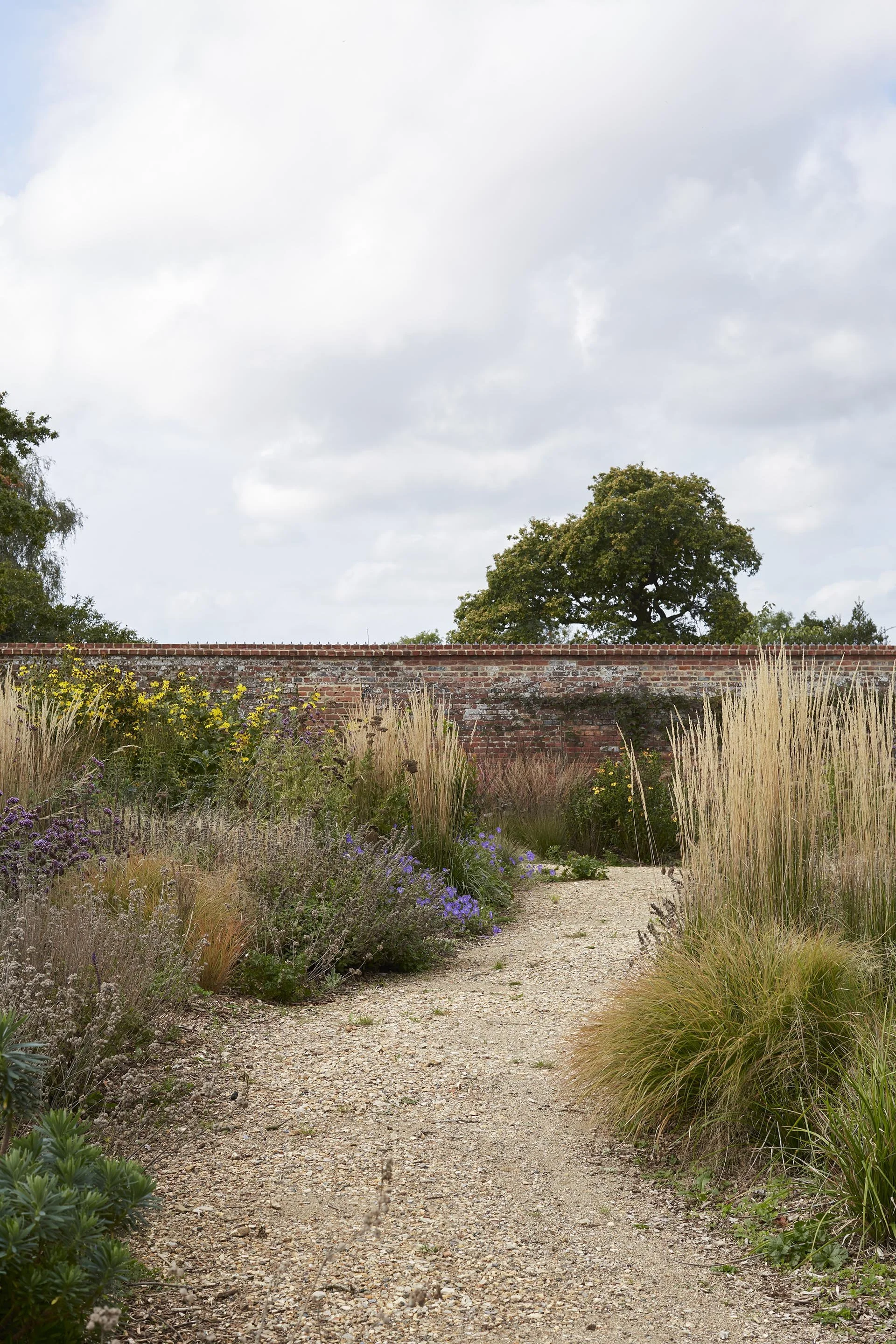 Pale gravel garden path winding between ornamental grasses and flowering perennials alongside a traditional red-brick garden wall.