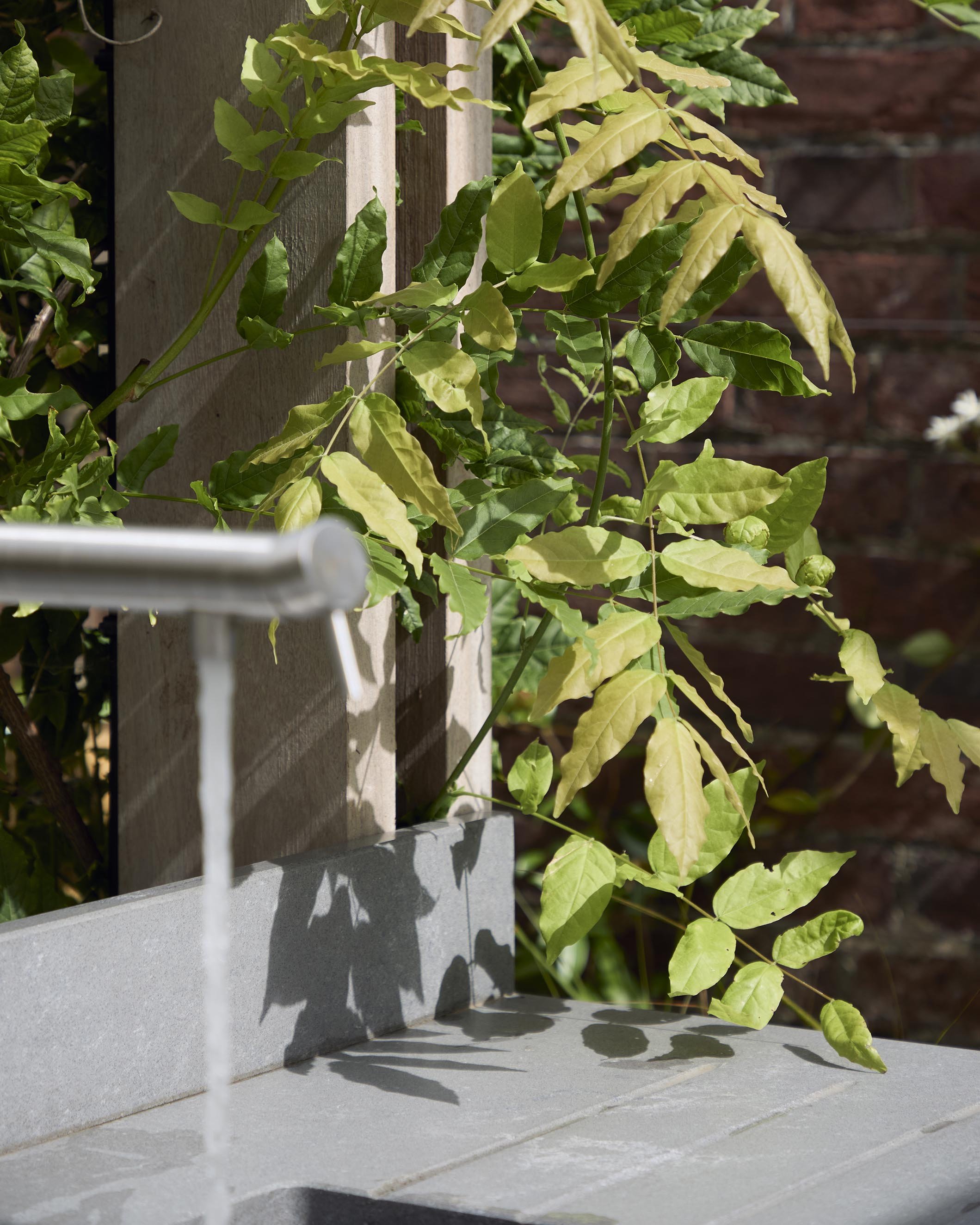 Layered green foliage beside timber garden structure and pale paving, showing the natural materials and planting palette used in the landscape design.
